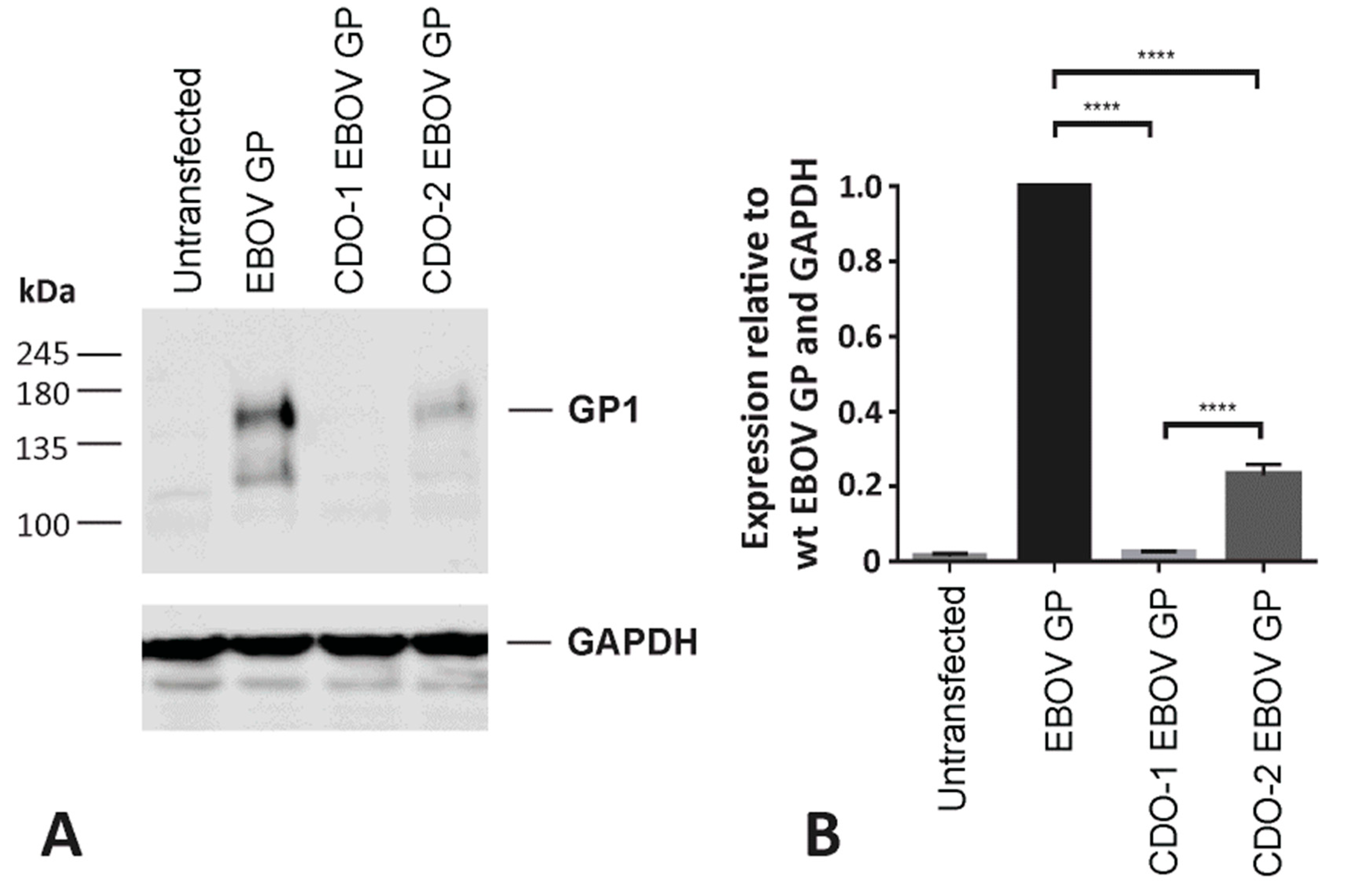 Vaccines 11 00977 g005