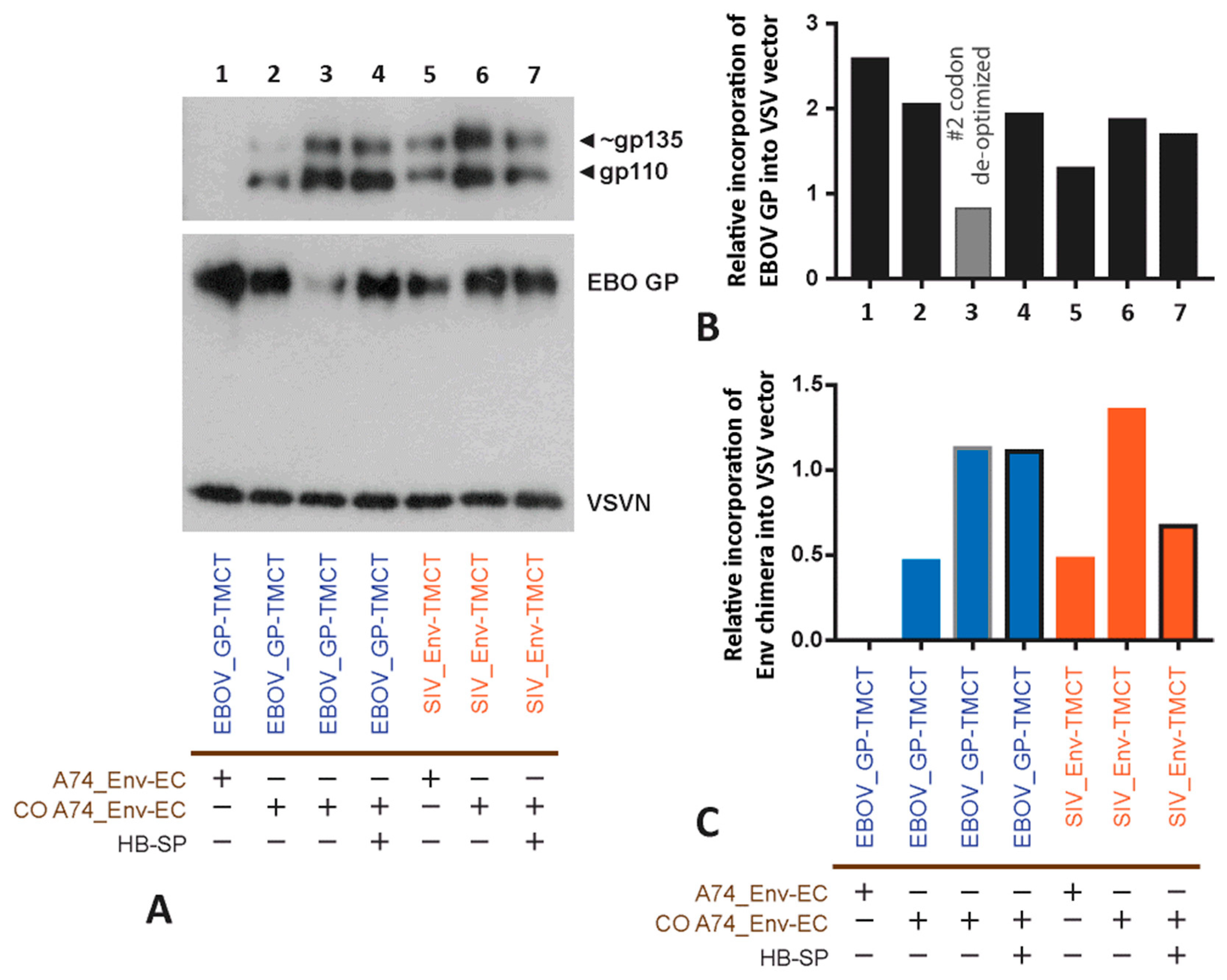 Vaccines 11 00977 g006