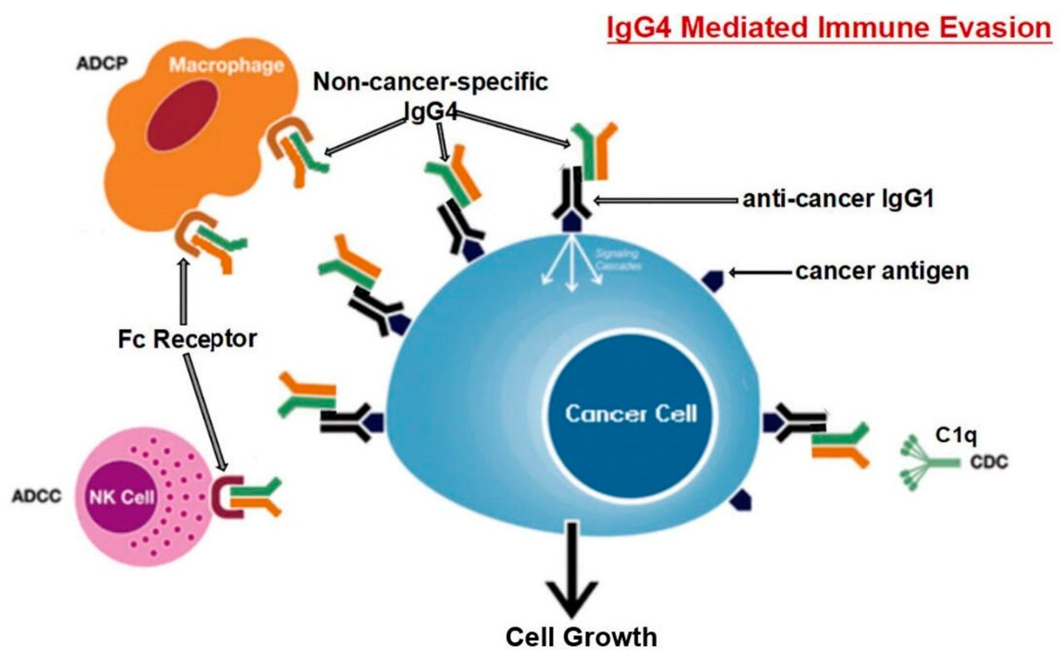 Vaccines 11 00991 g003