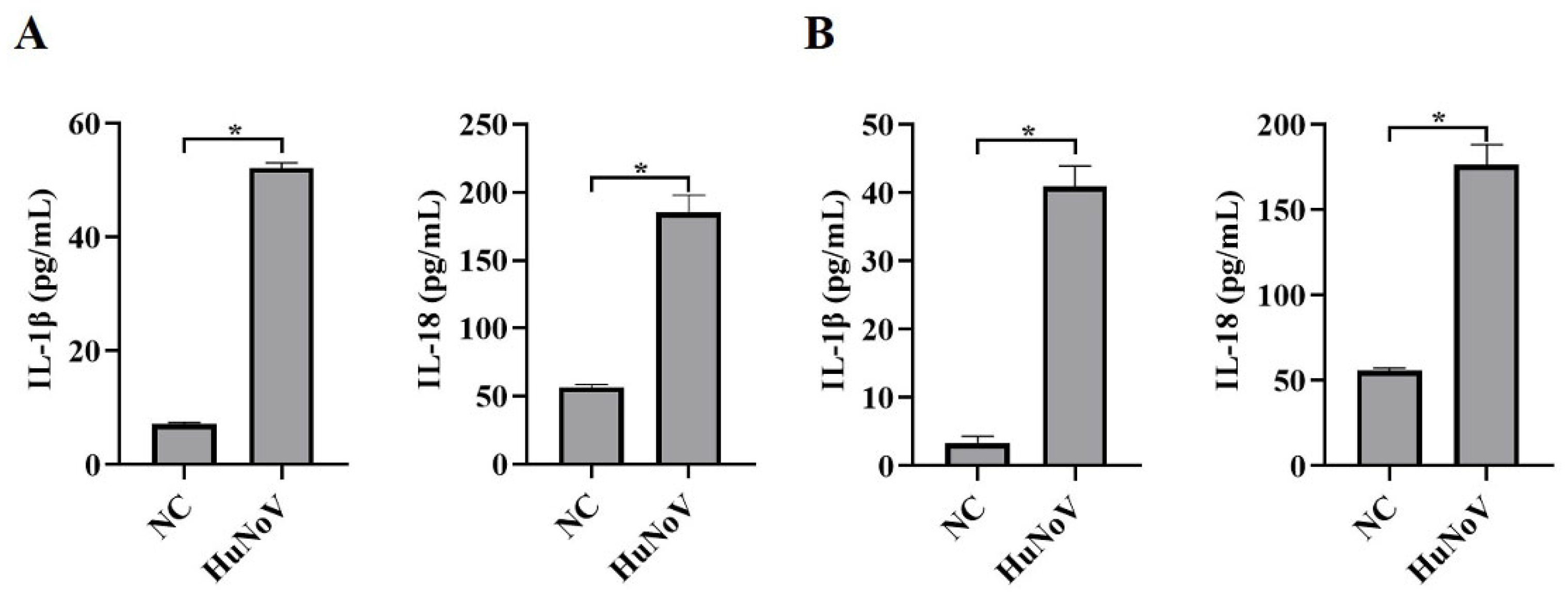 Vaccines 11 00993 g001