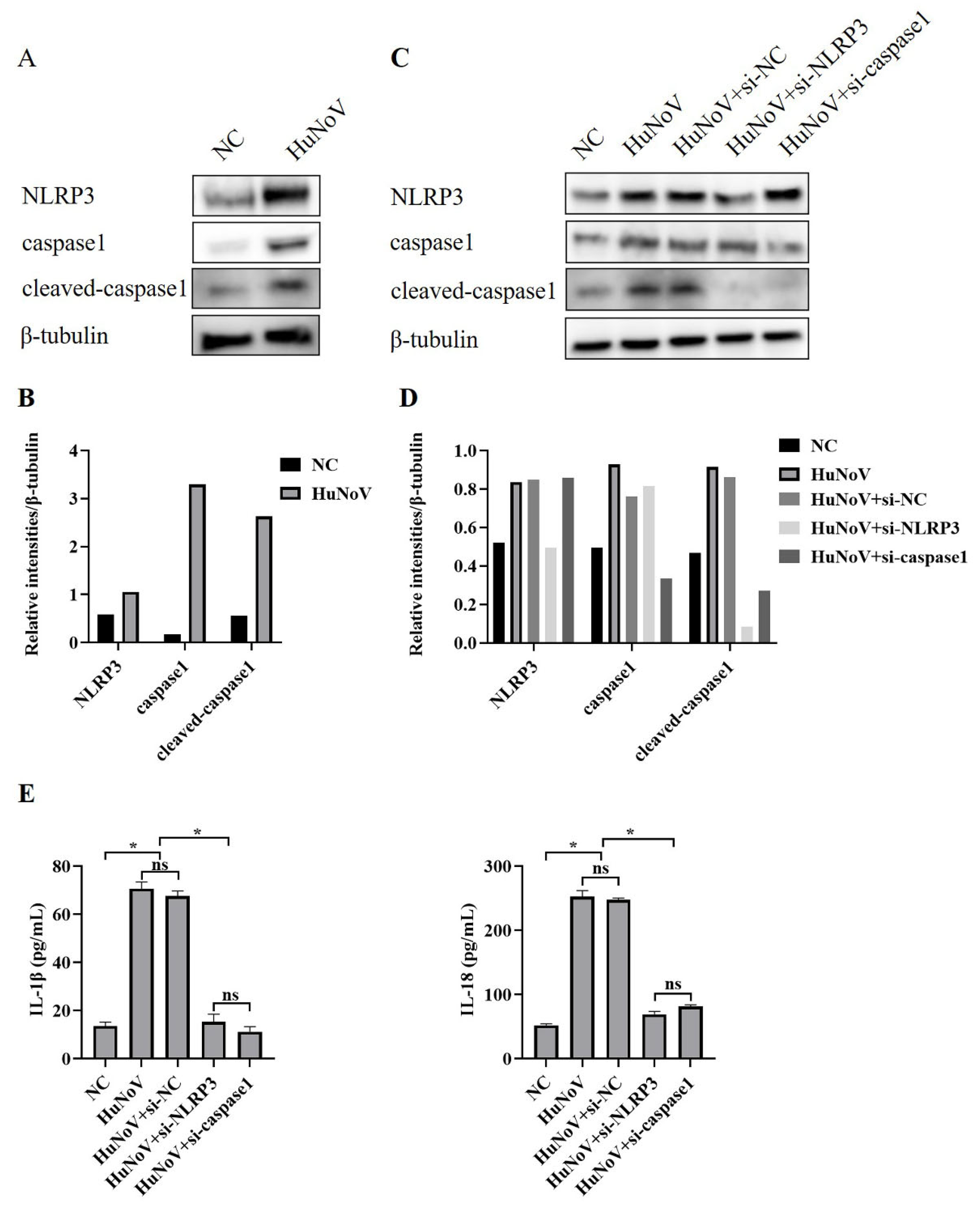 Vaccines 11 00993 g002