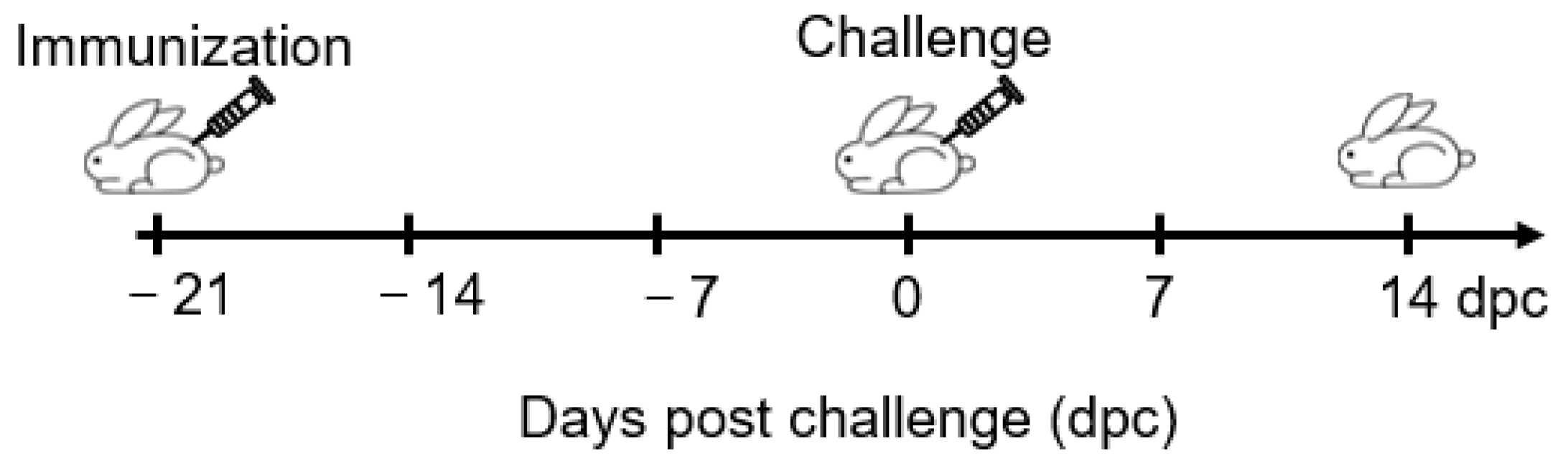 Vaccines 11 01004 g001 Vaccines 11 01004 g001