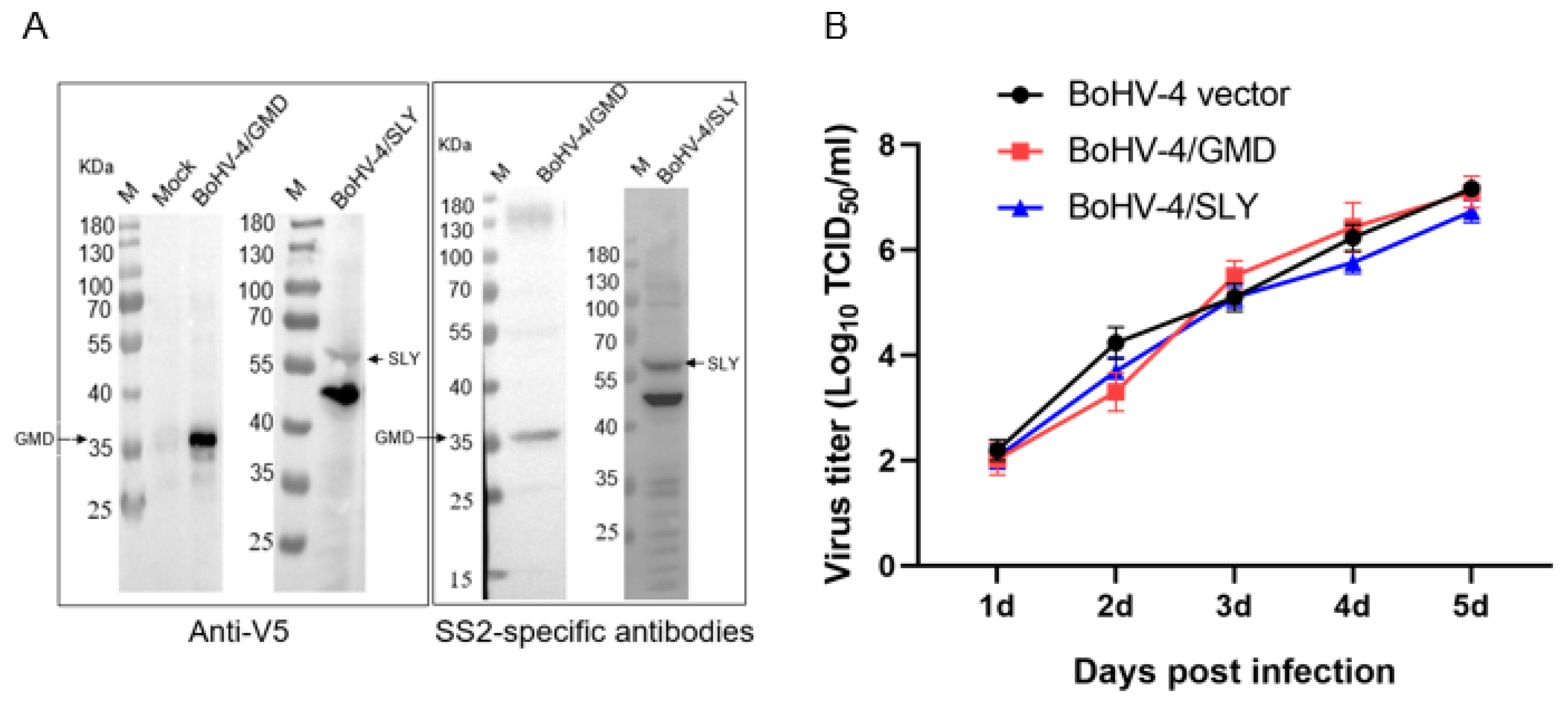 Vaccines 11 01004 g003 Vaccines 11 01004 g003
