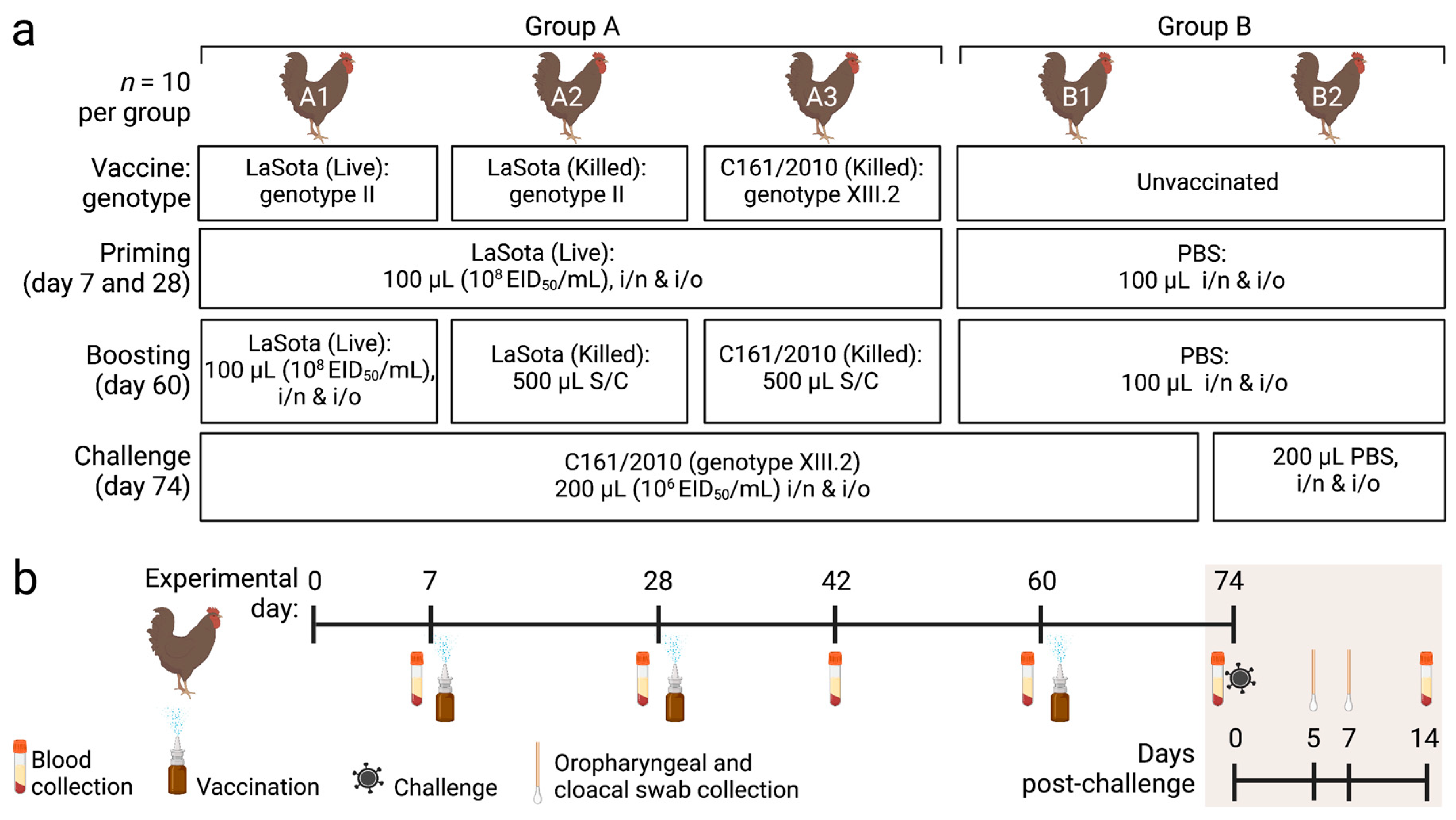Vaccines 11 01005 g001