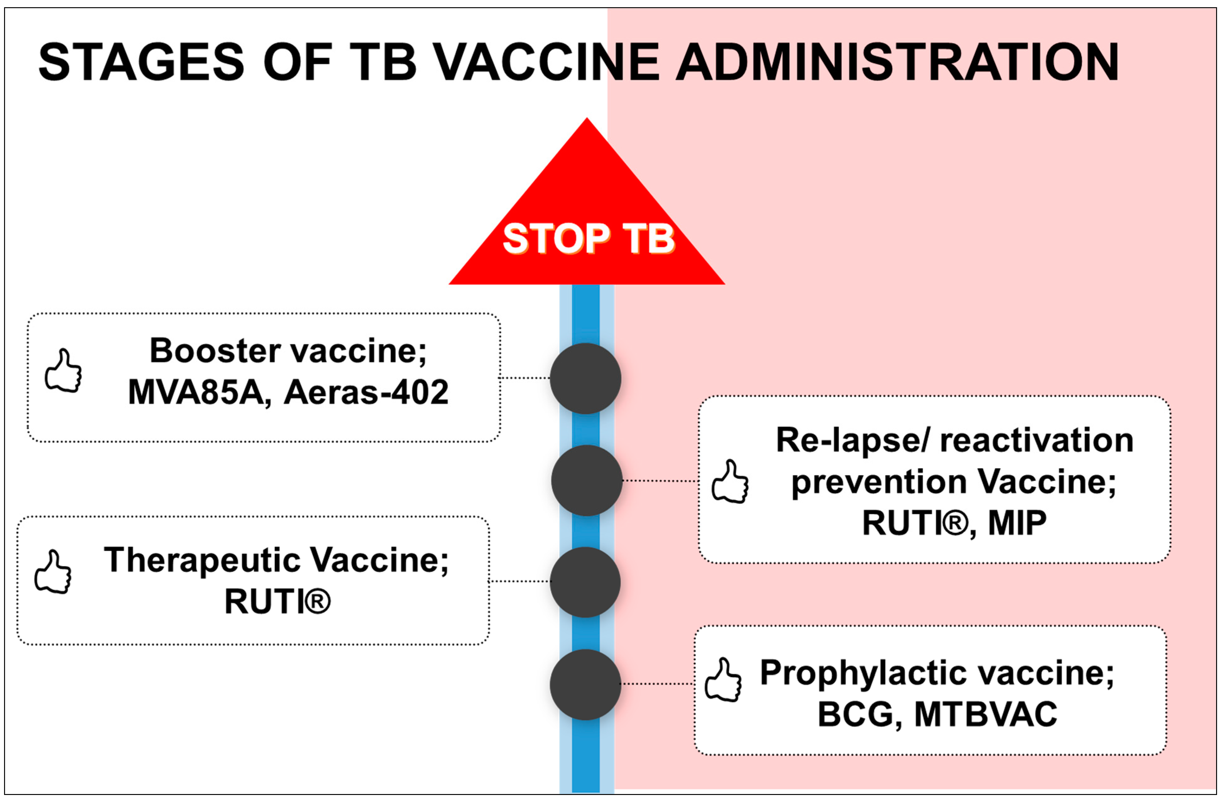 Vaccines 11 01013 g002 Vaccines 11 01013 g002