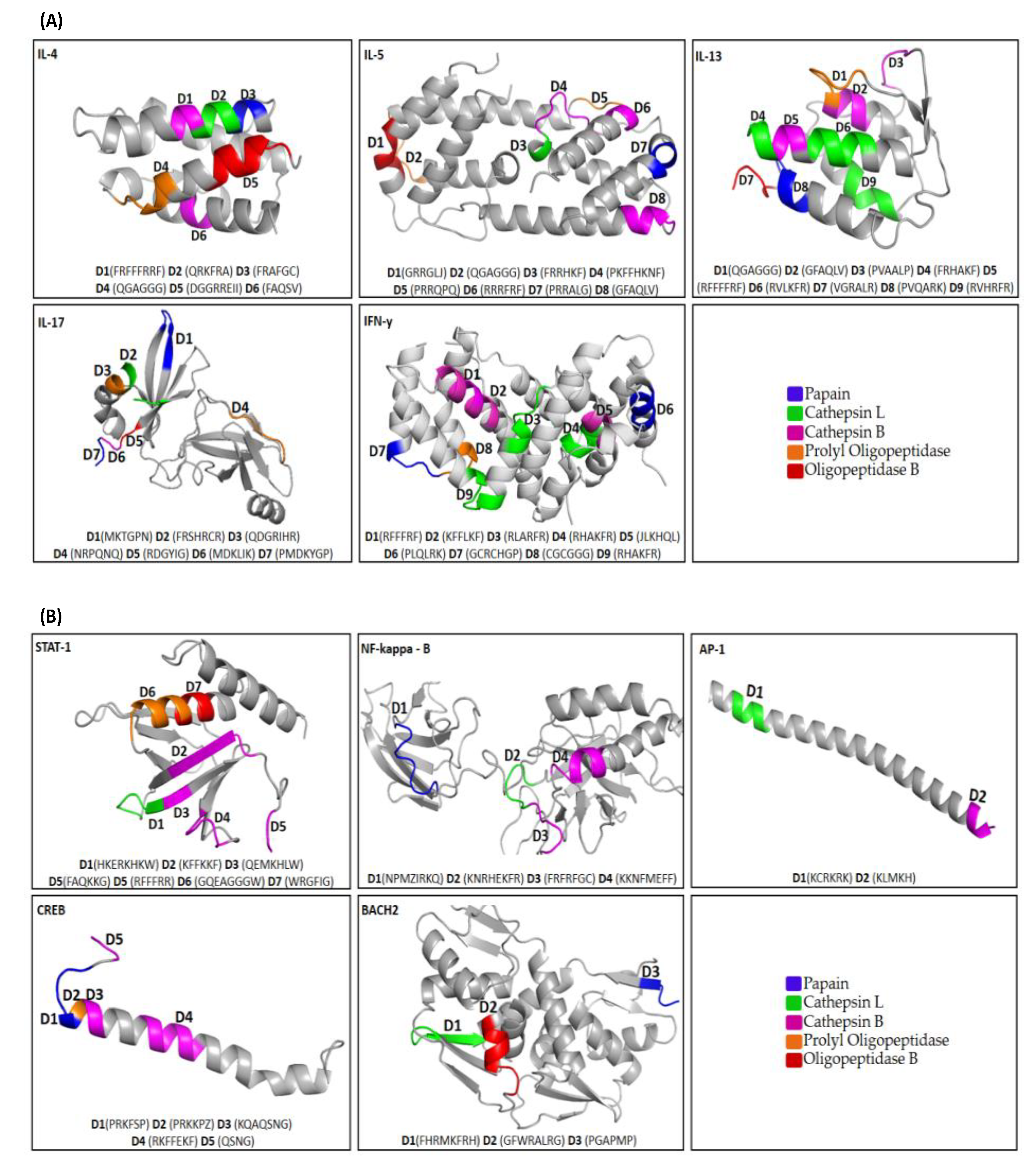 Vaccines 11 01015 g001