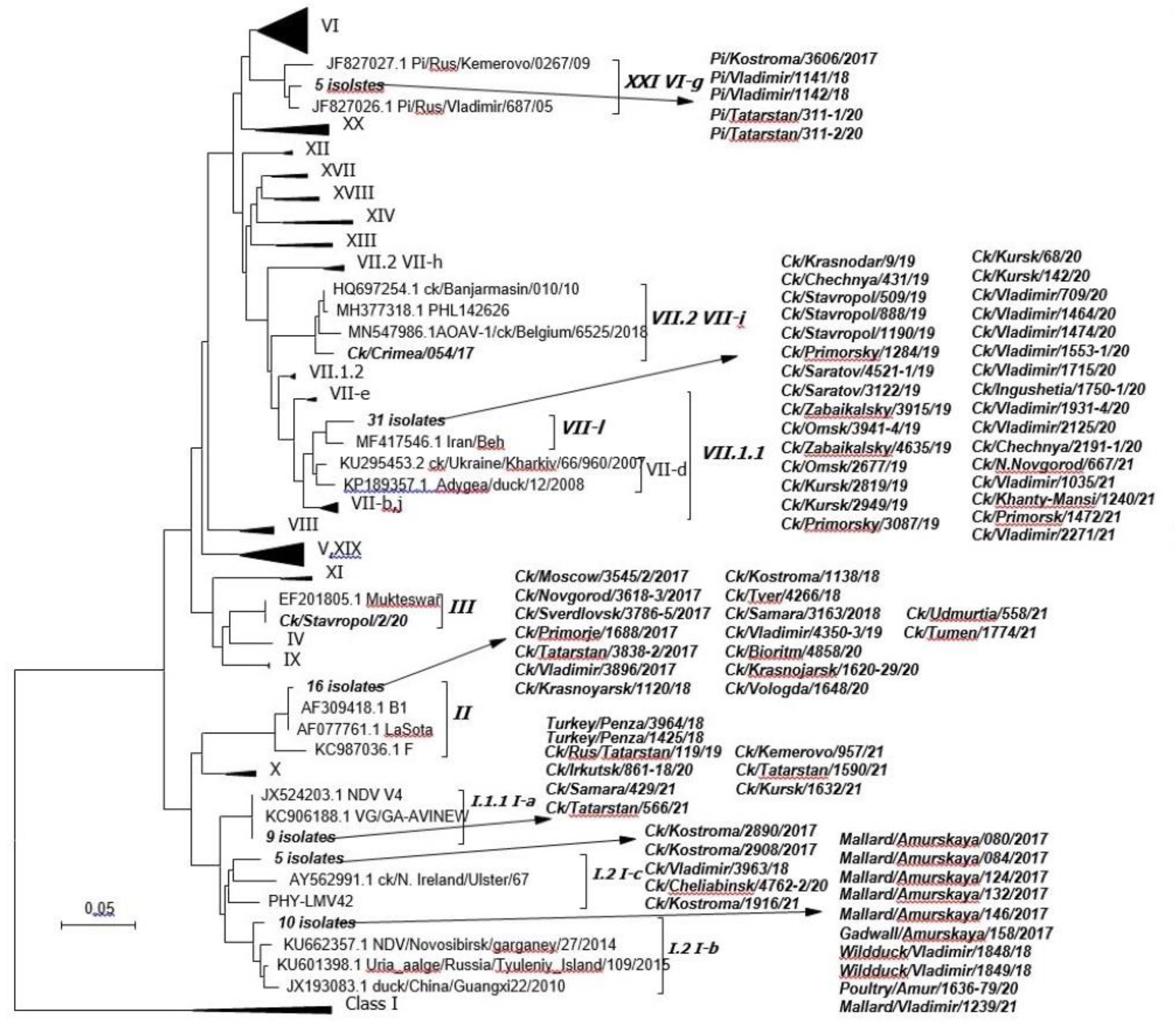 Vaccines 11 01032 g002