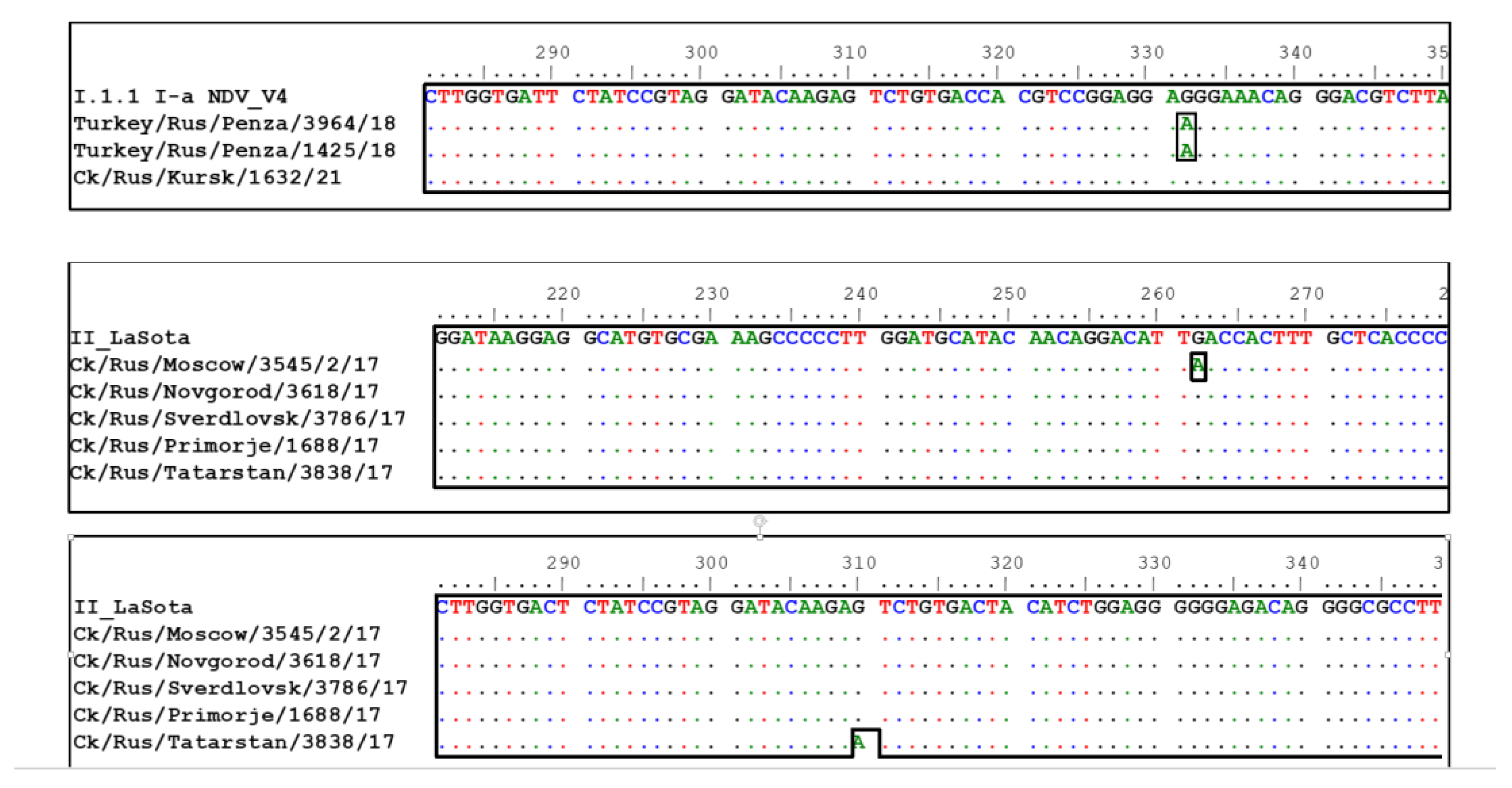 Vaccines 11 01032 g003
