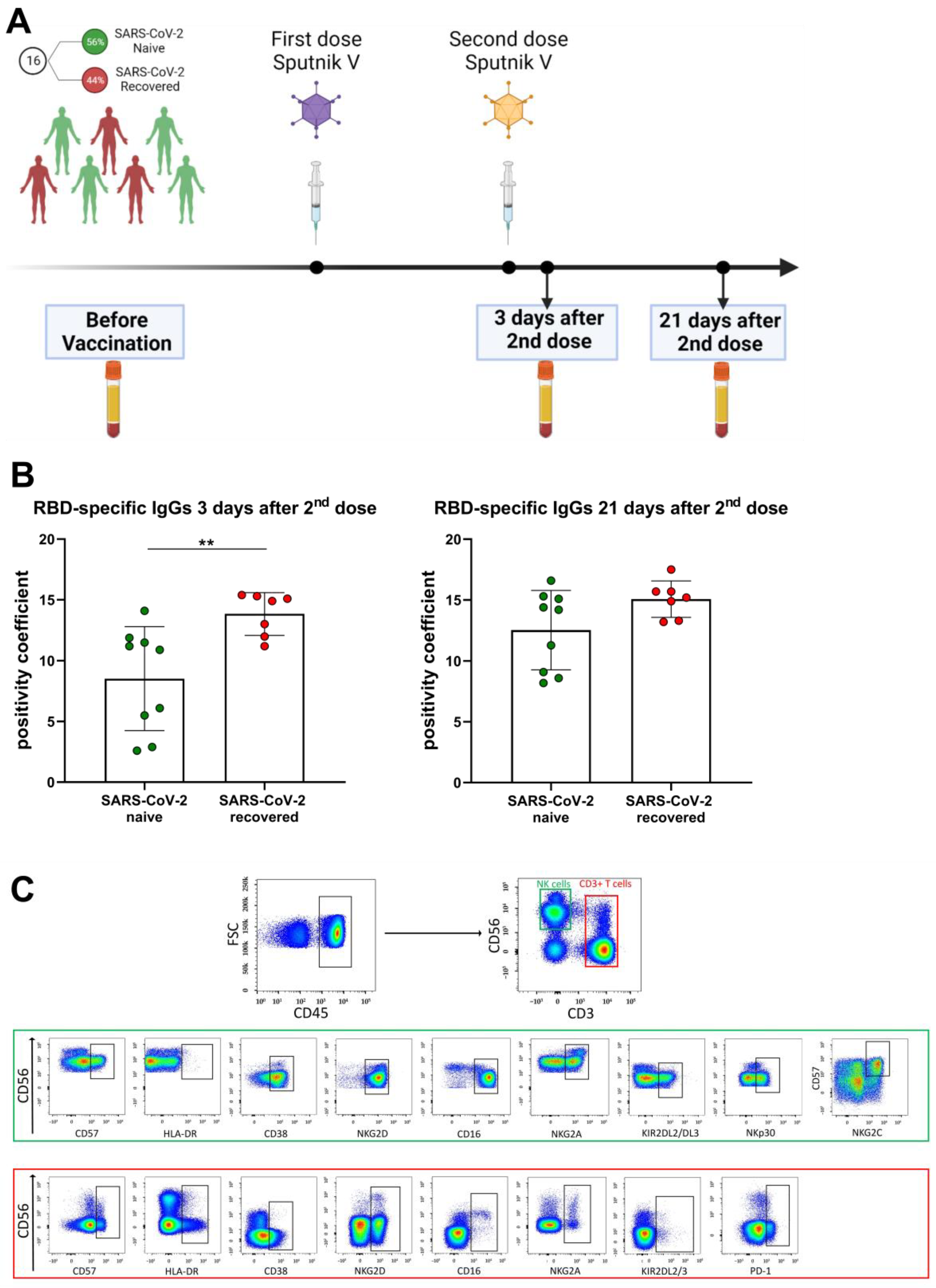 Vaccines 11 01047 g001