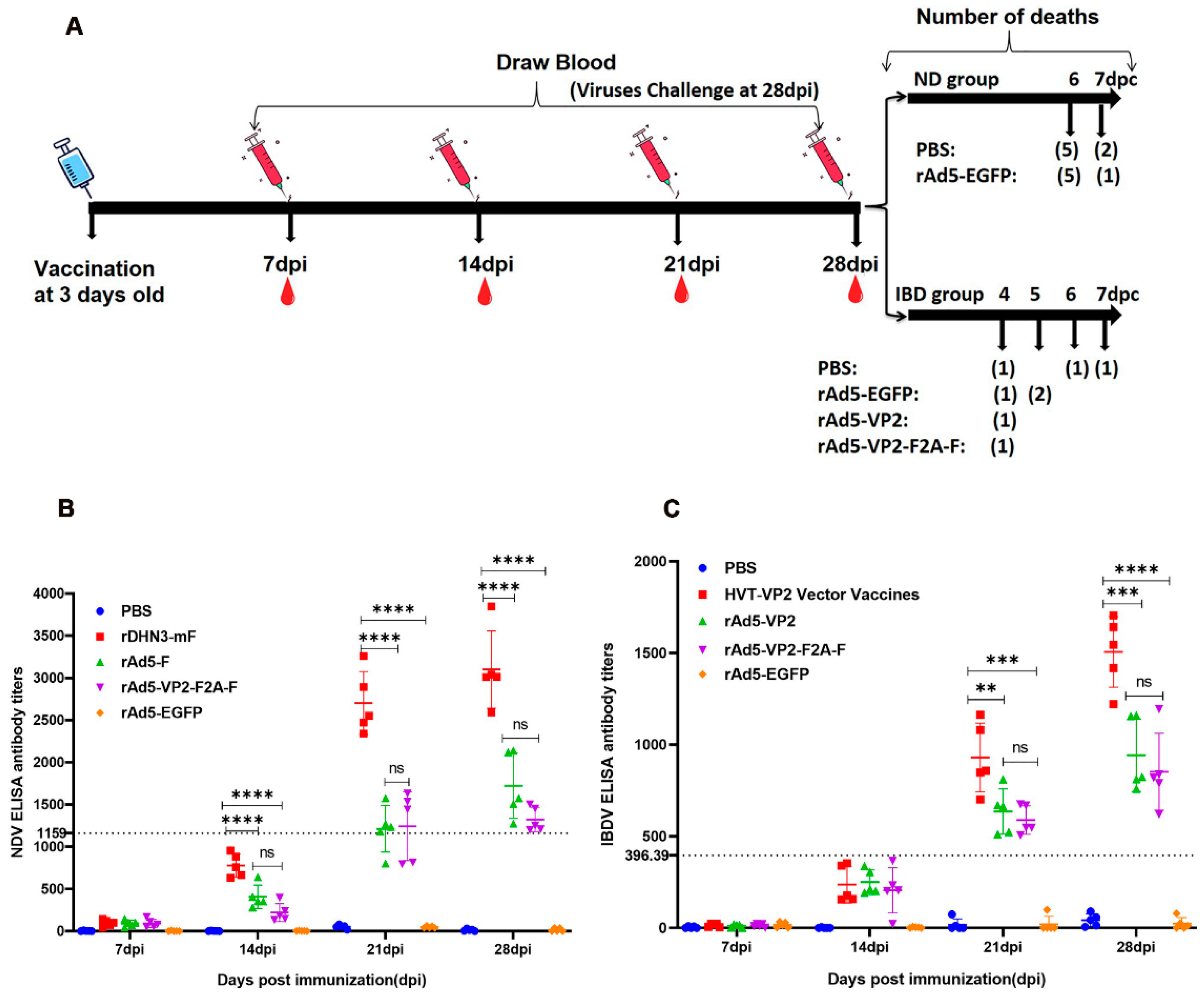 Vaccines 11 01051 g003