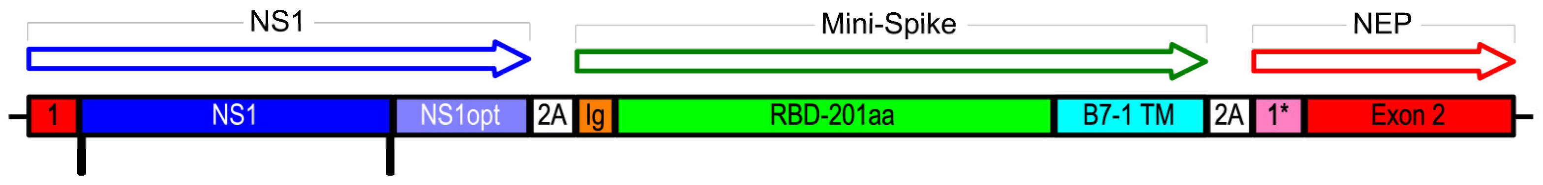 Vaccines 11 01063 g001