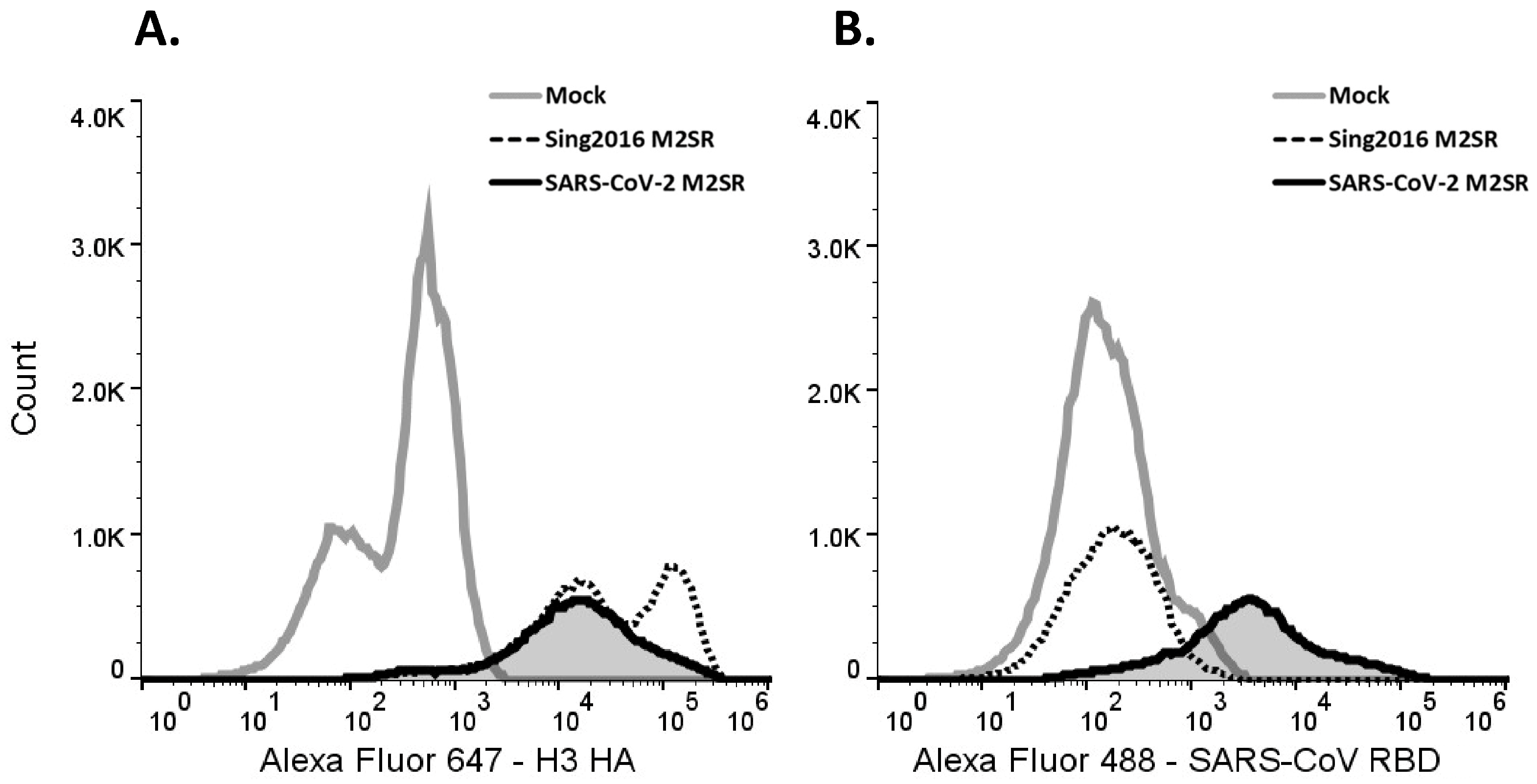 Vaccines 11 01063 g005