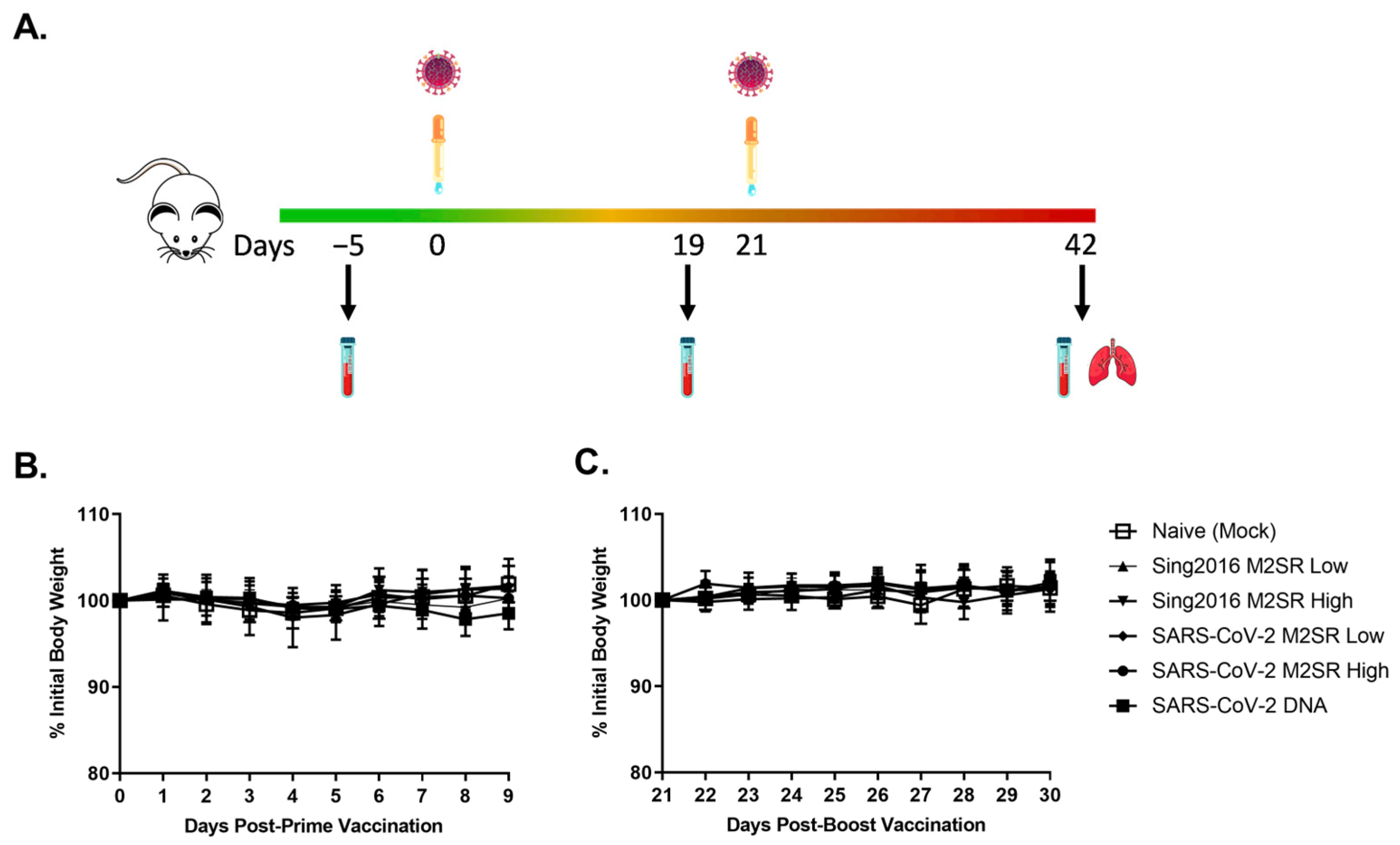 Vaccines 11 01063 g006