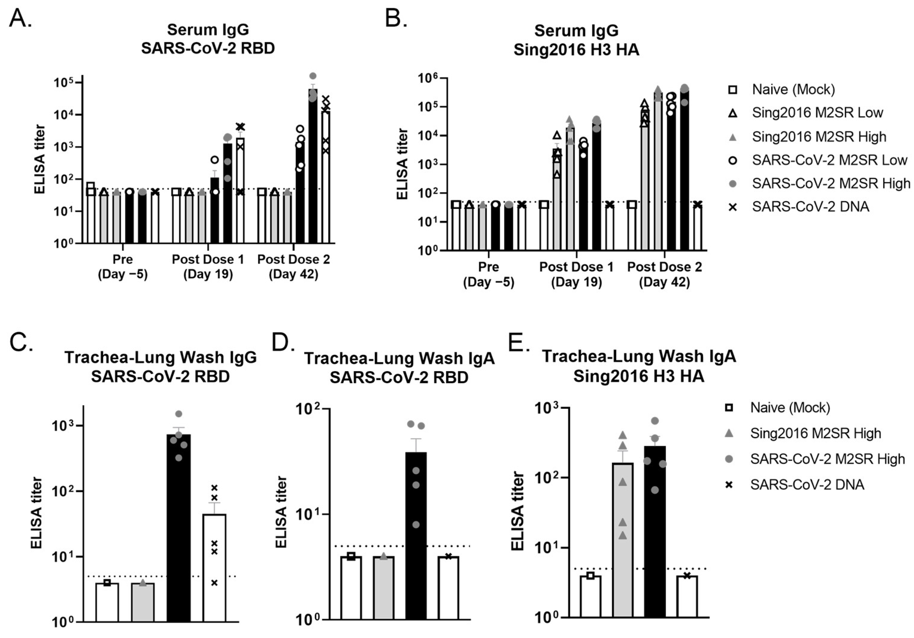 Vaccines 11 01063 g007