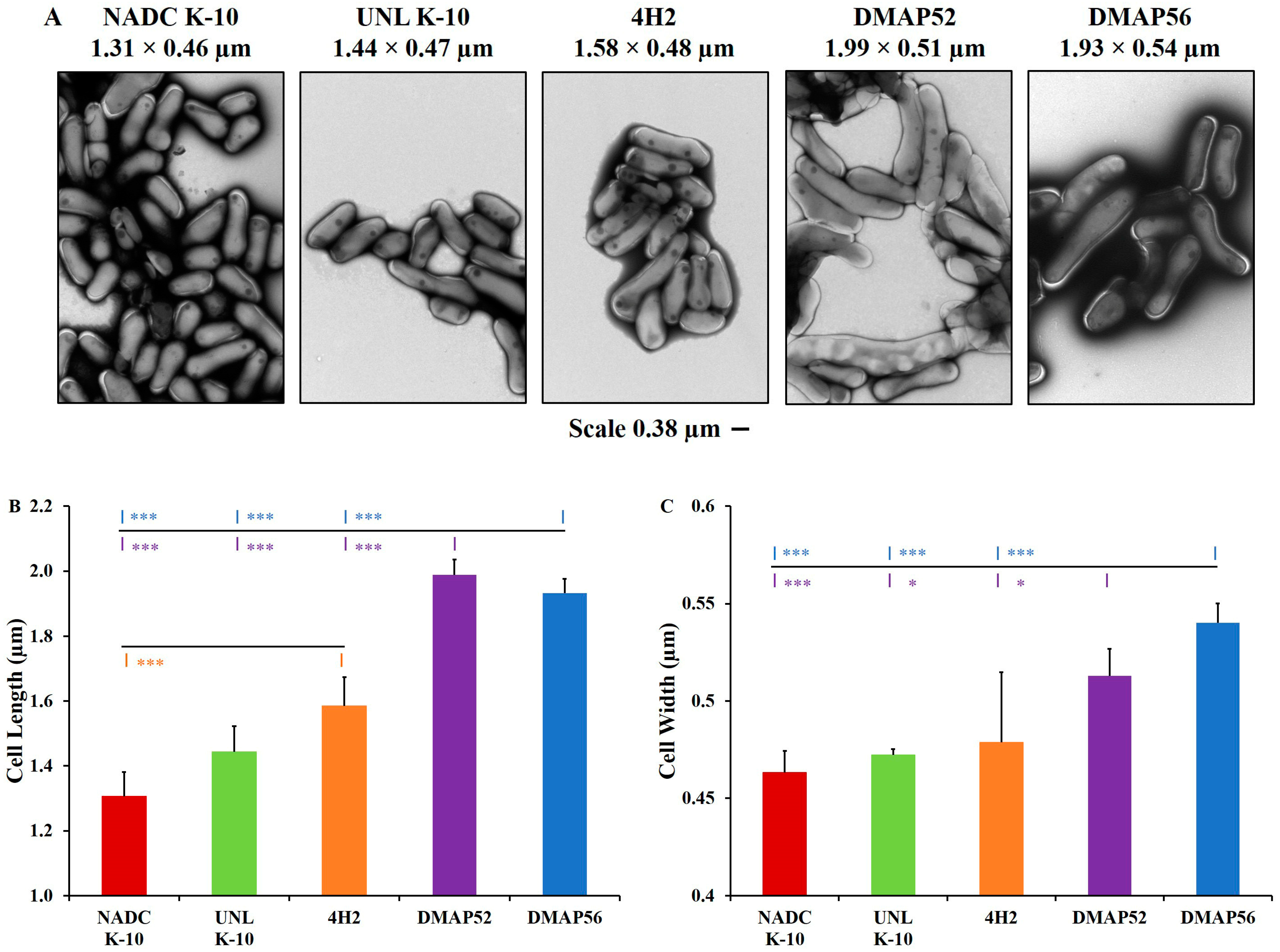 Vaccines 11 01085 g002