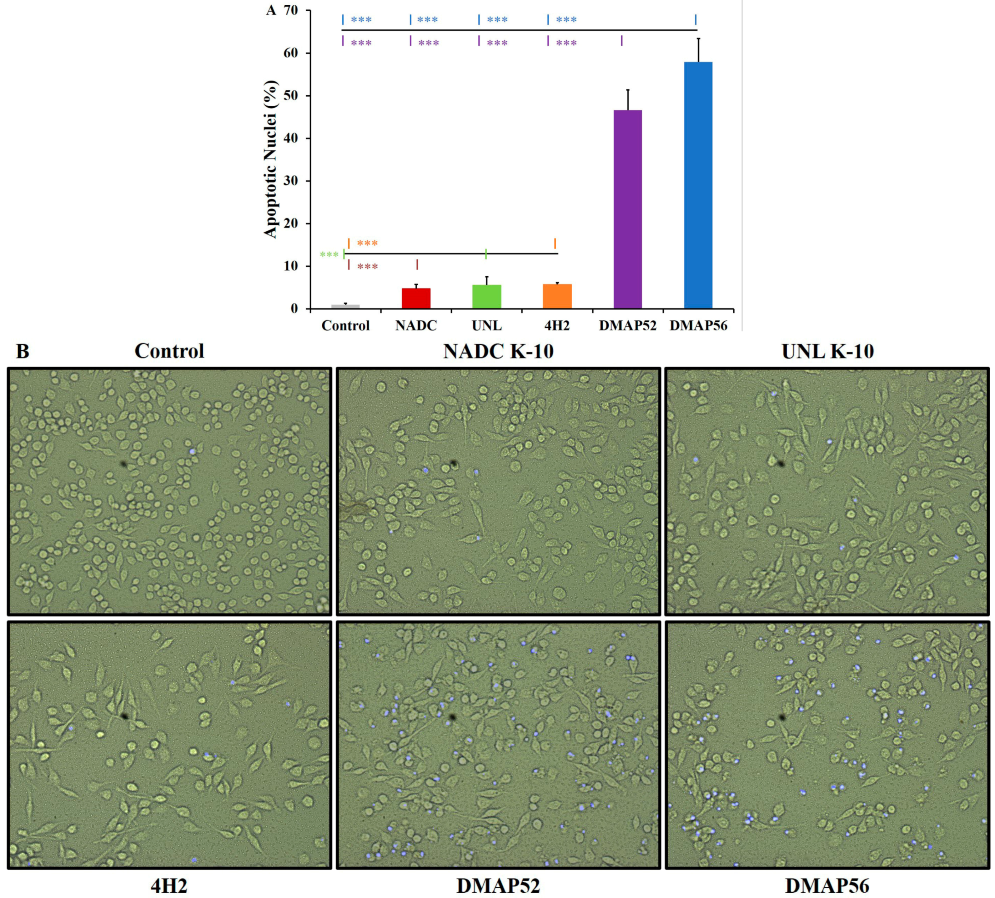 Vaccines 11 01085 g004