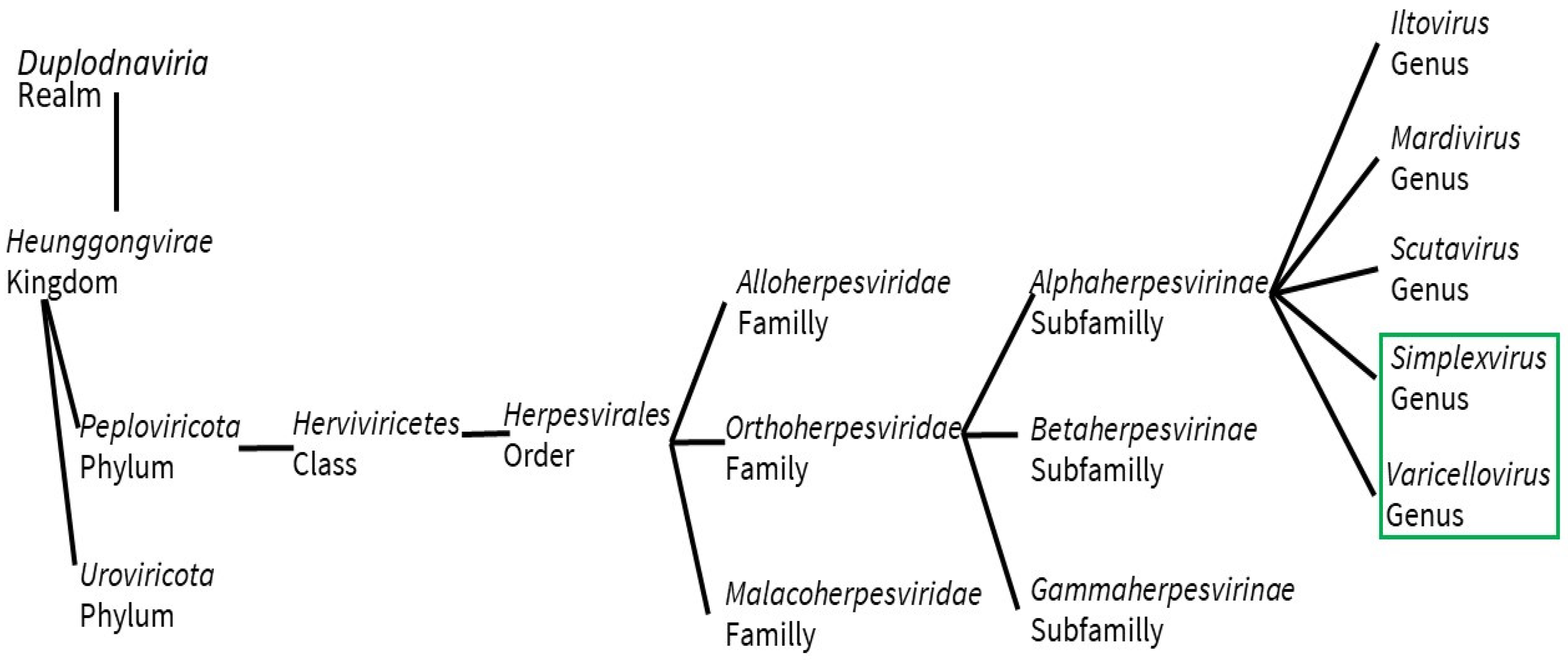Vaccines 11 01094 g001 Vaccines 11 01094 g001