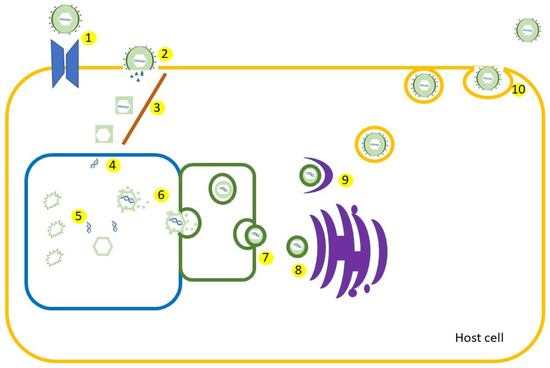 Vaccines 11 01094 g003