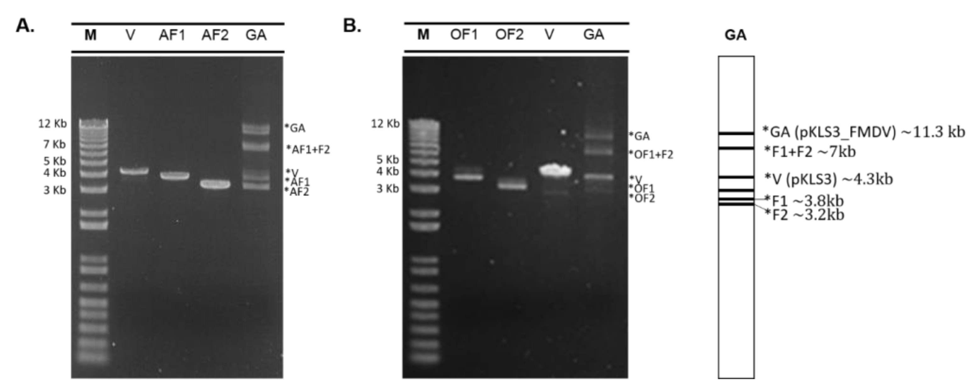 Vaccines 11 01111 g002