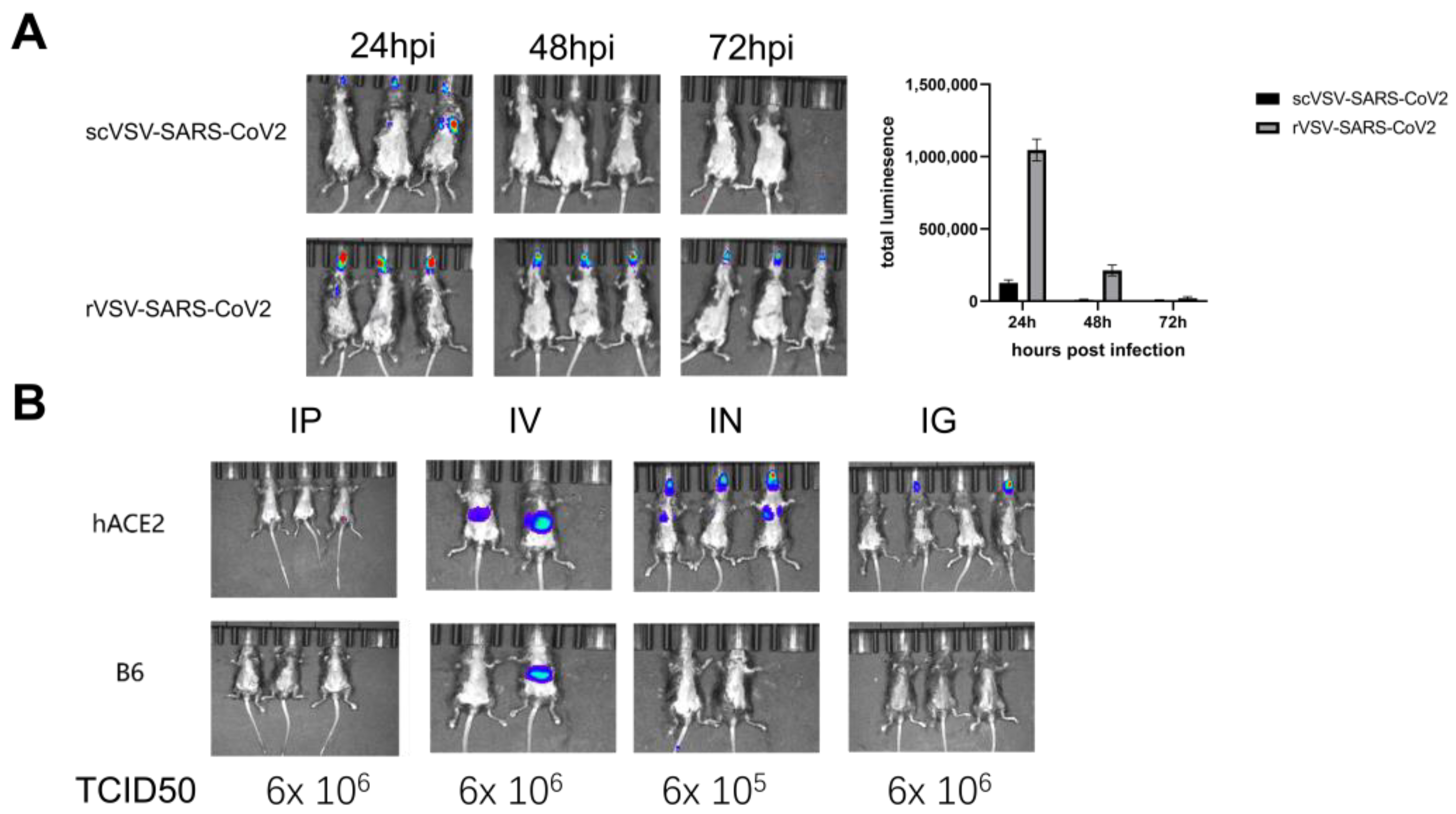 Vaccines 11 01133 g002