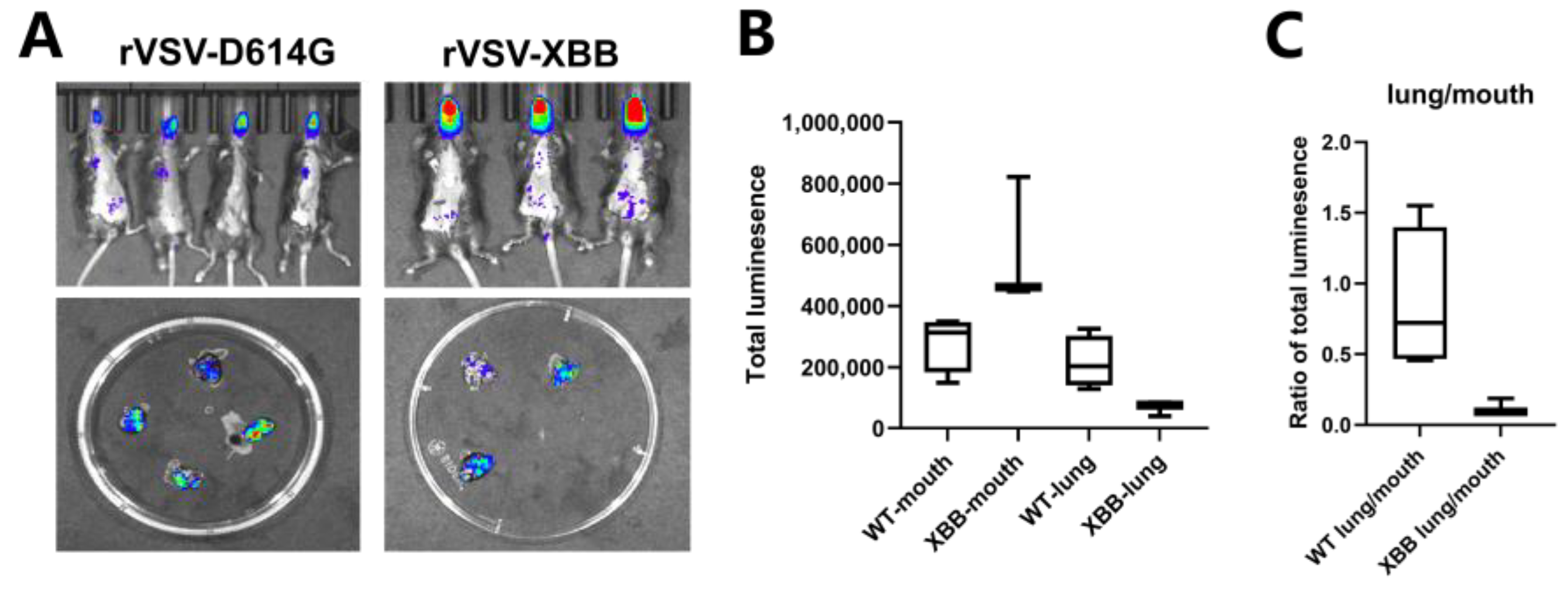 Vaccines 11 01133 g004