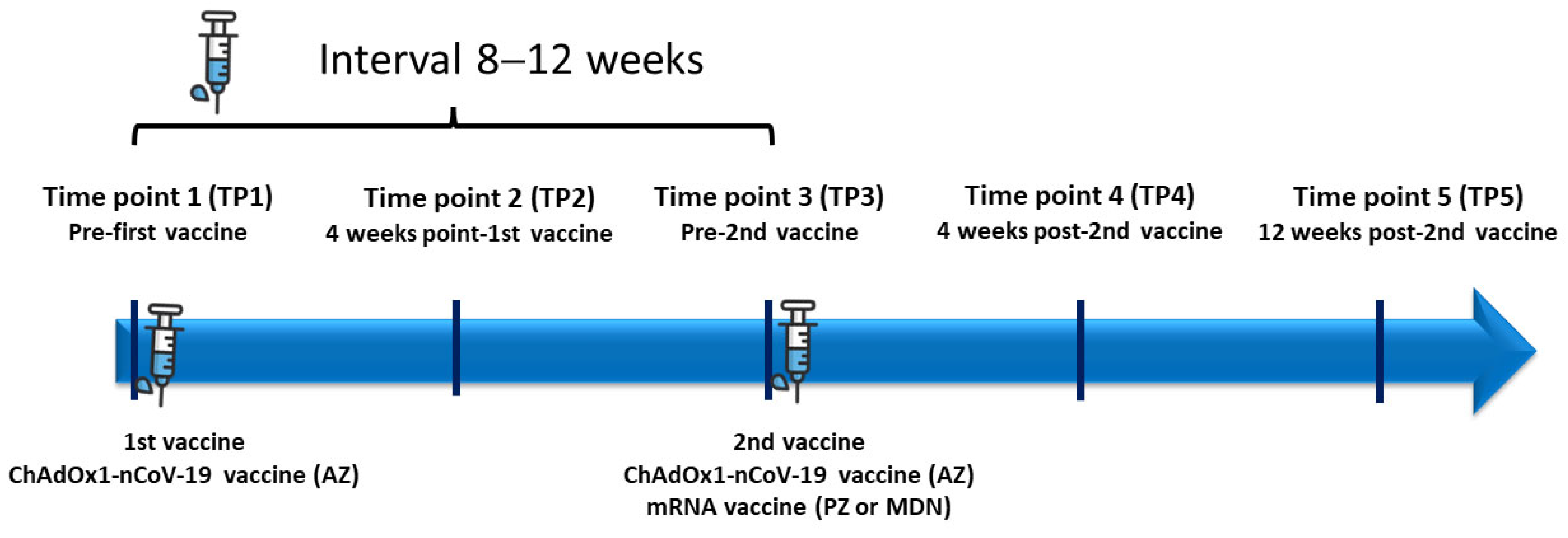 Vaccines 11 01135 g001