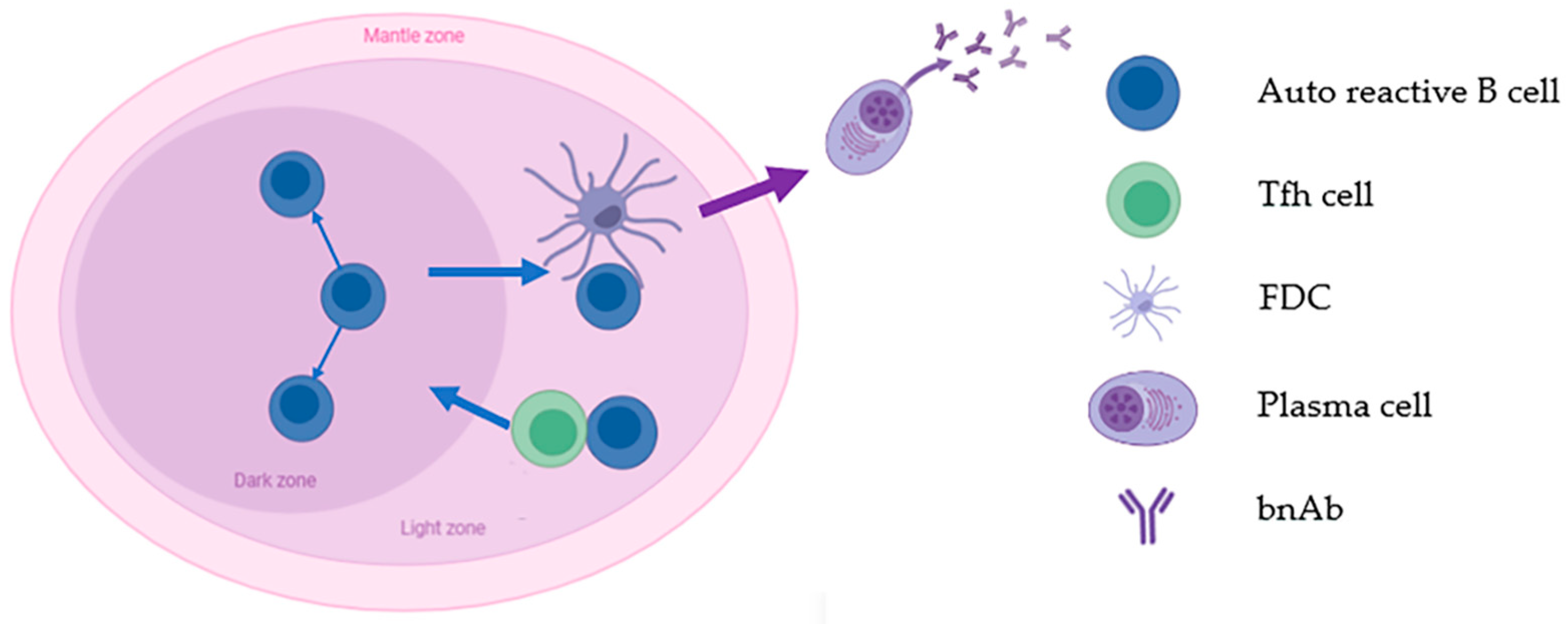 Vaccines 11 01143 g001