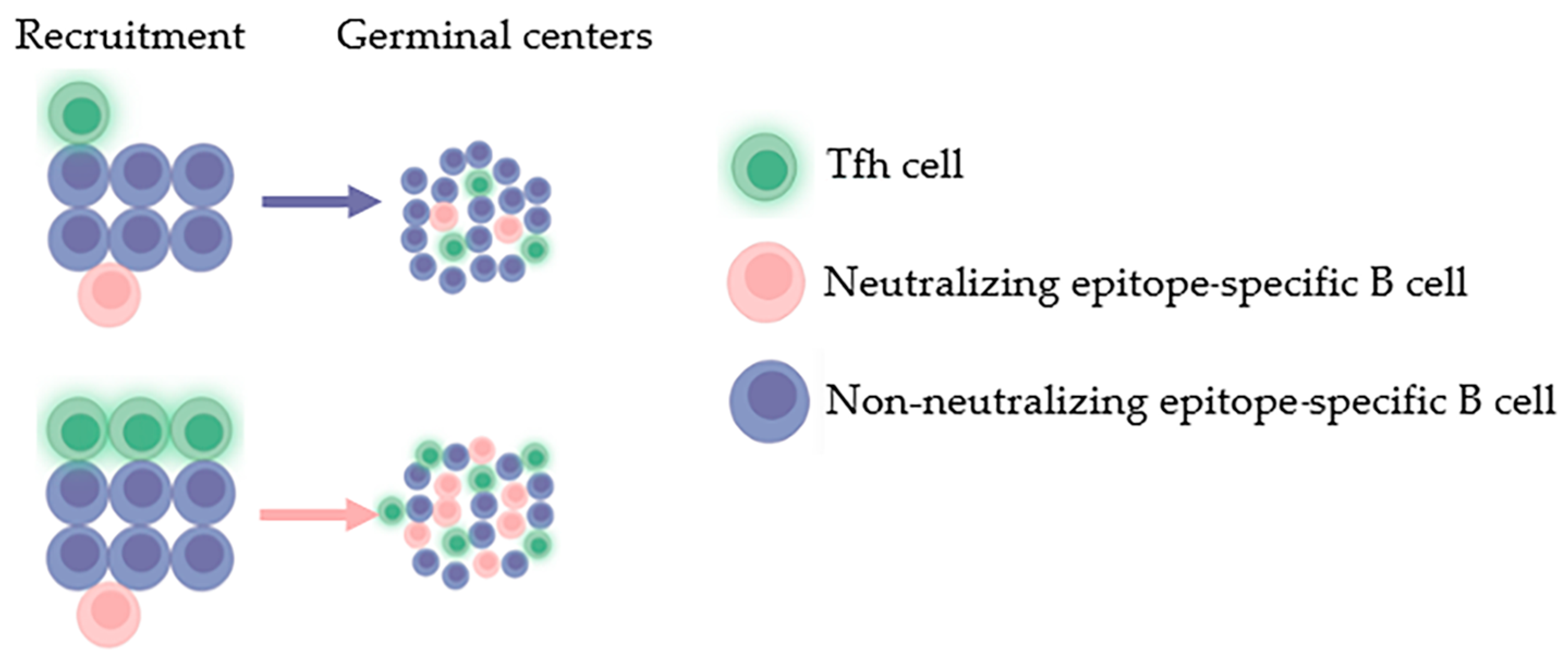 Vaccines 11 01143 g003