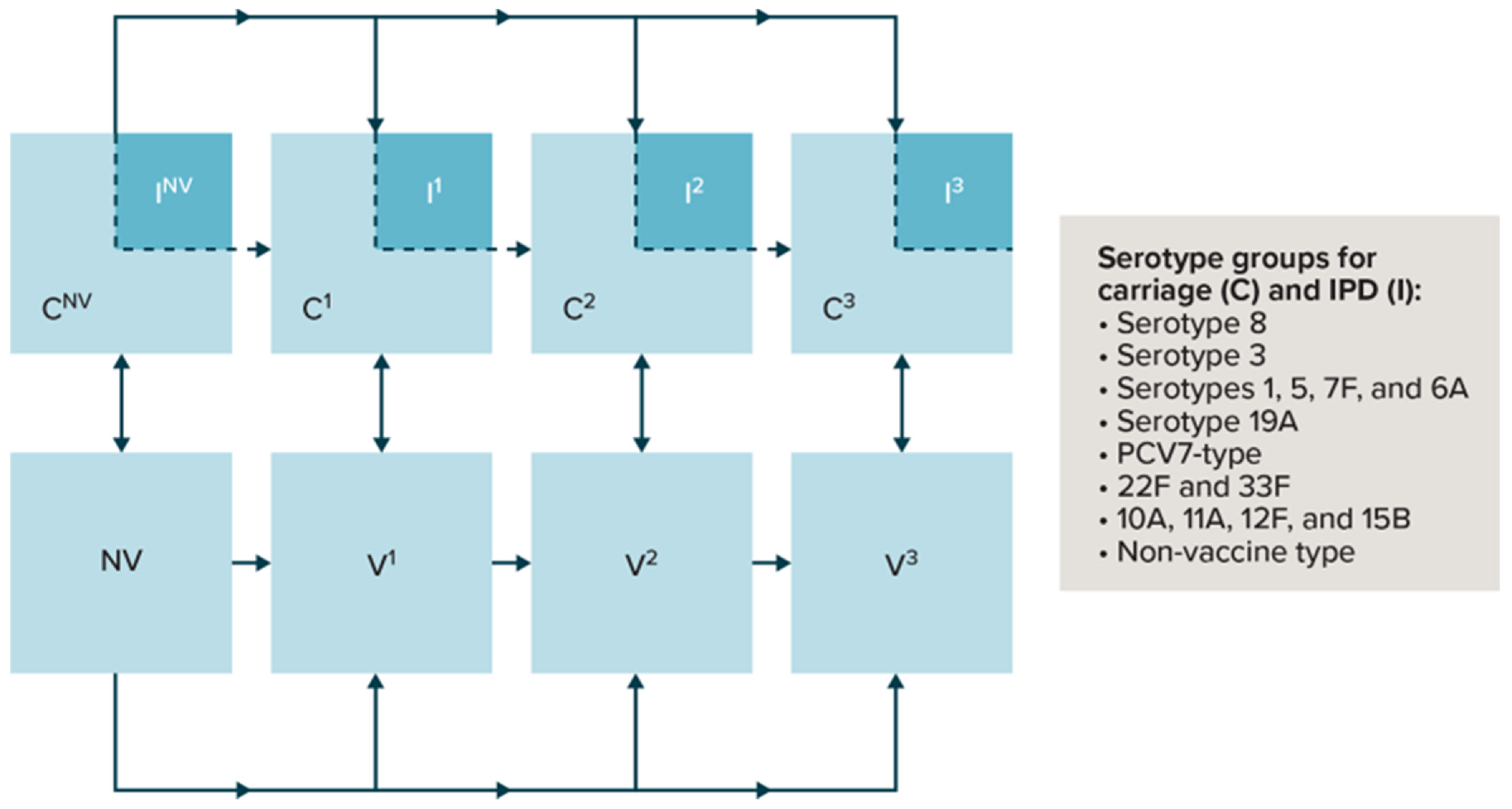 Vaccines 11 01168 g001