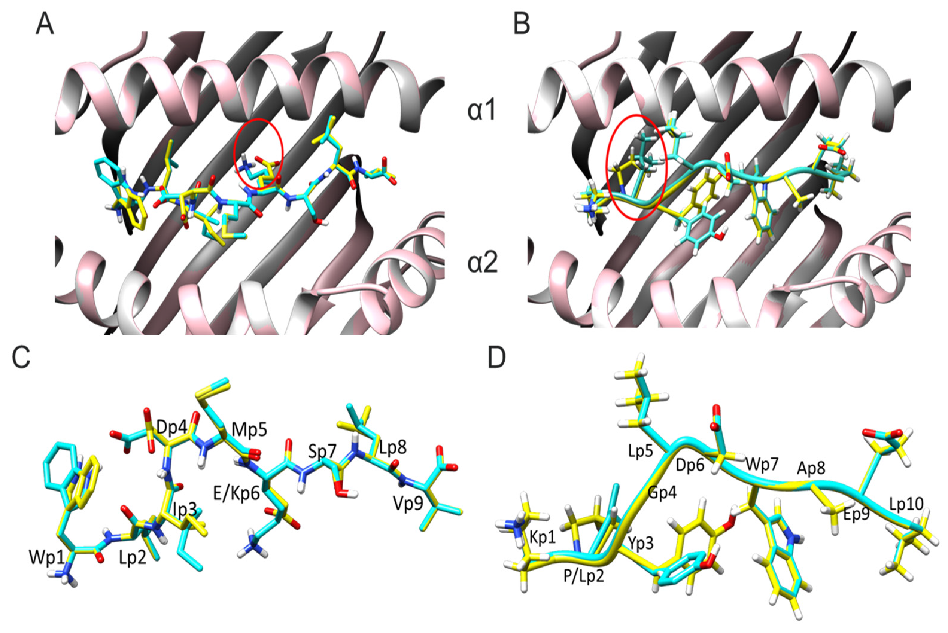 Vaccines 11 01174 g001