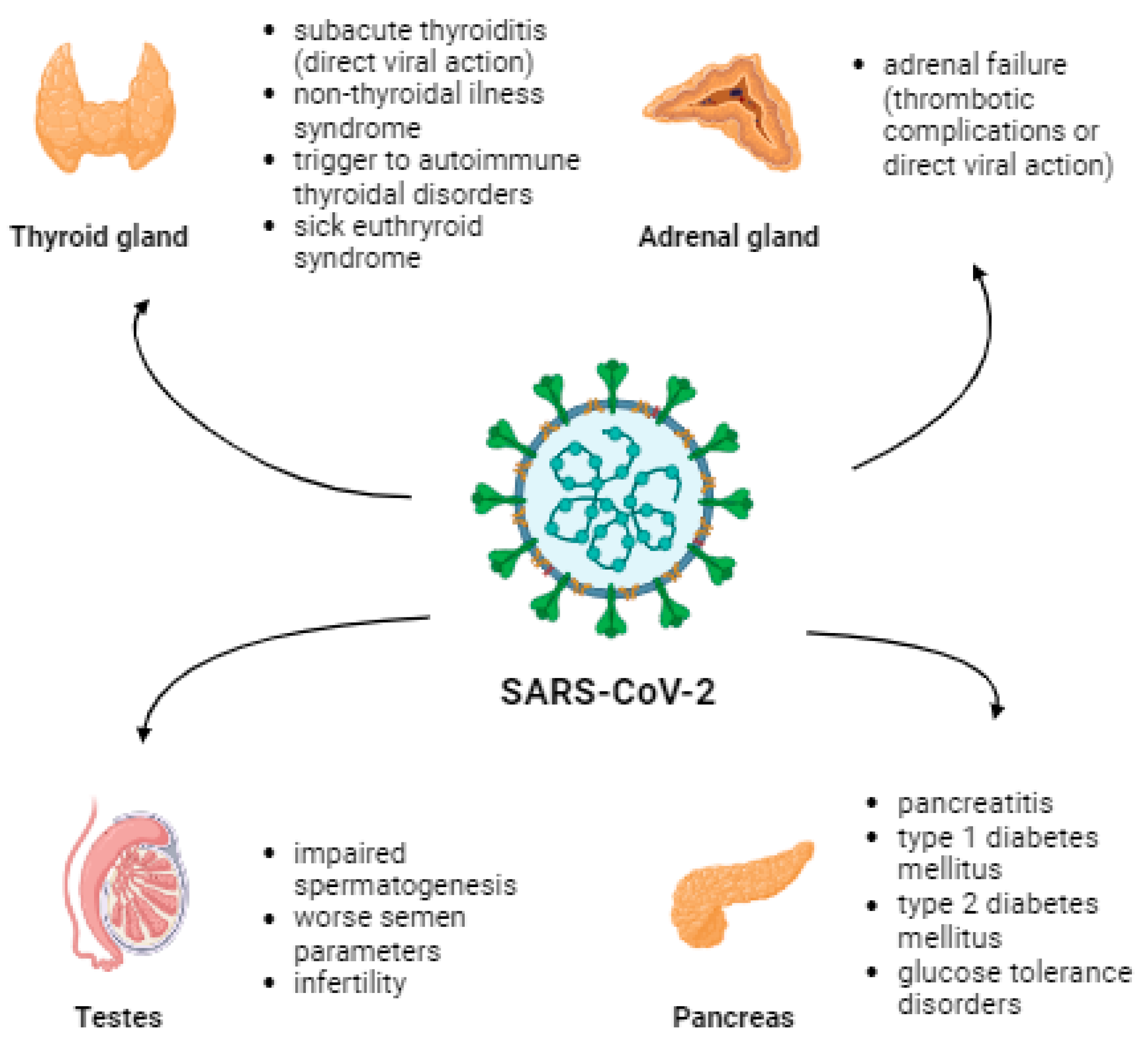 Vaccines 11 01203 g001