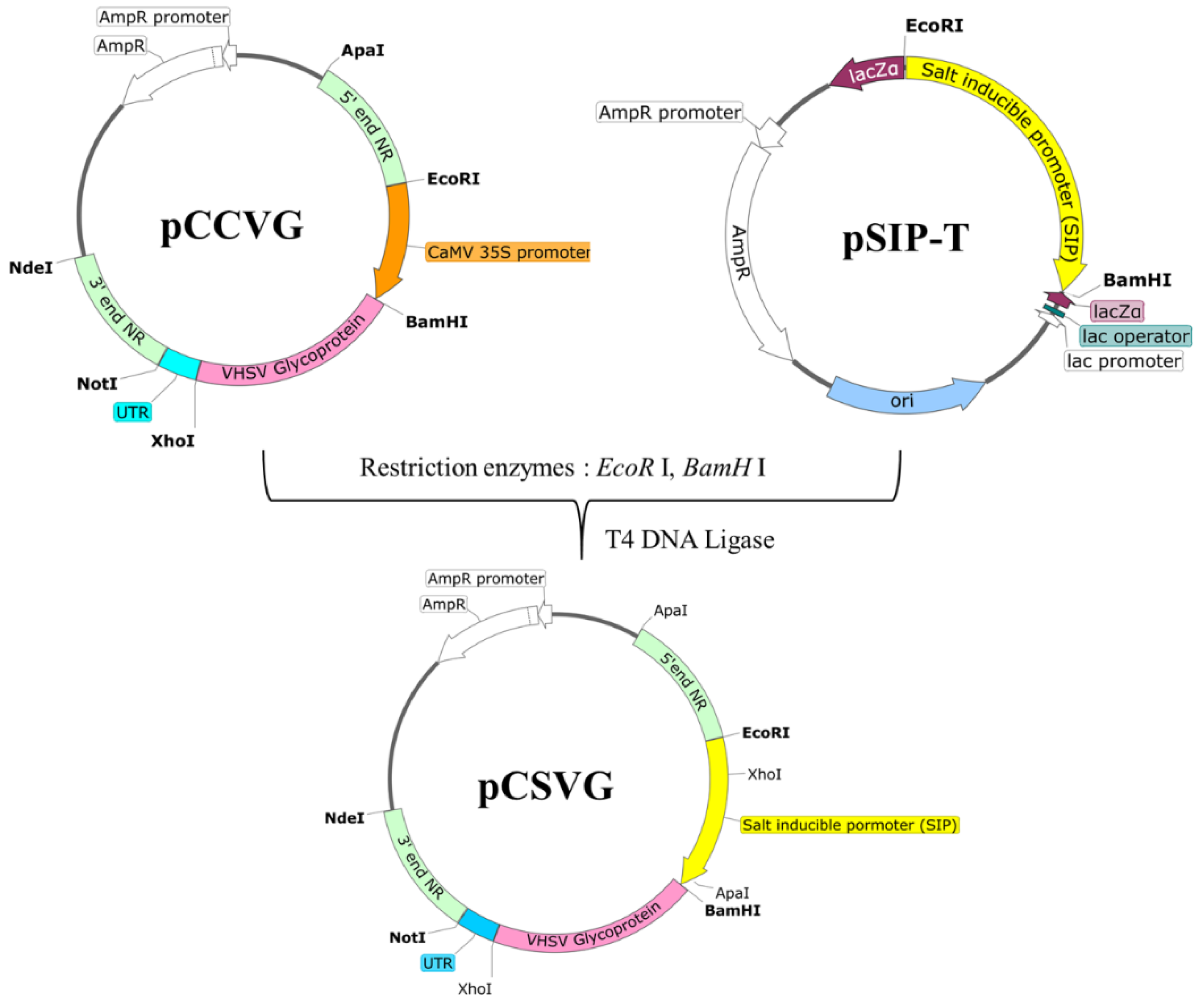 Vaccines 11 01205 g001