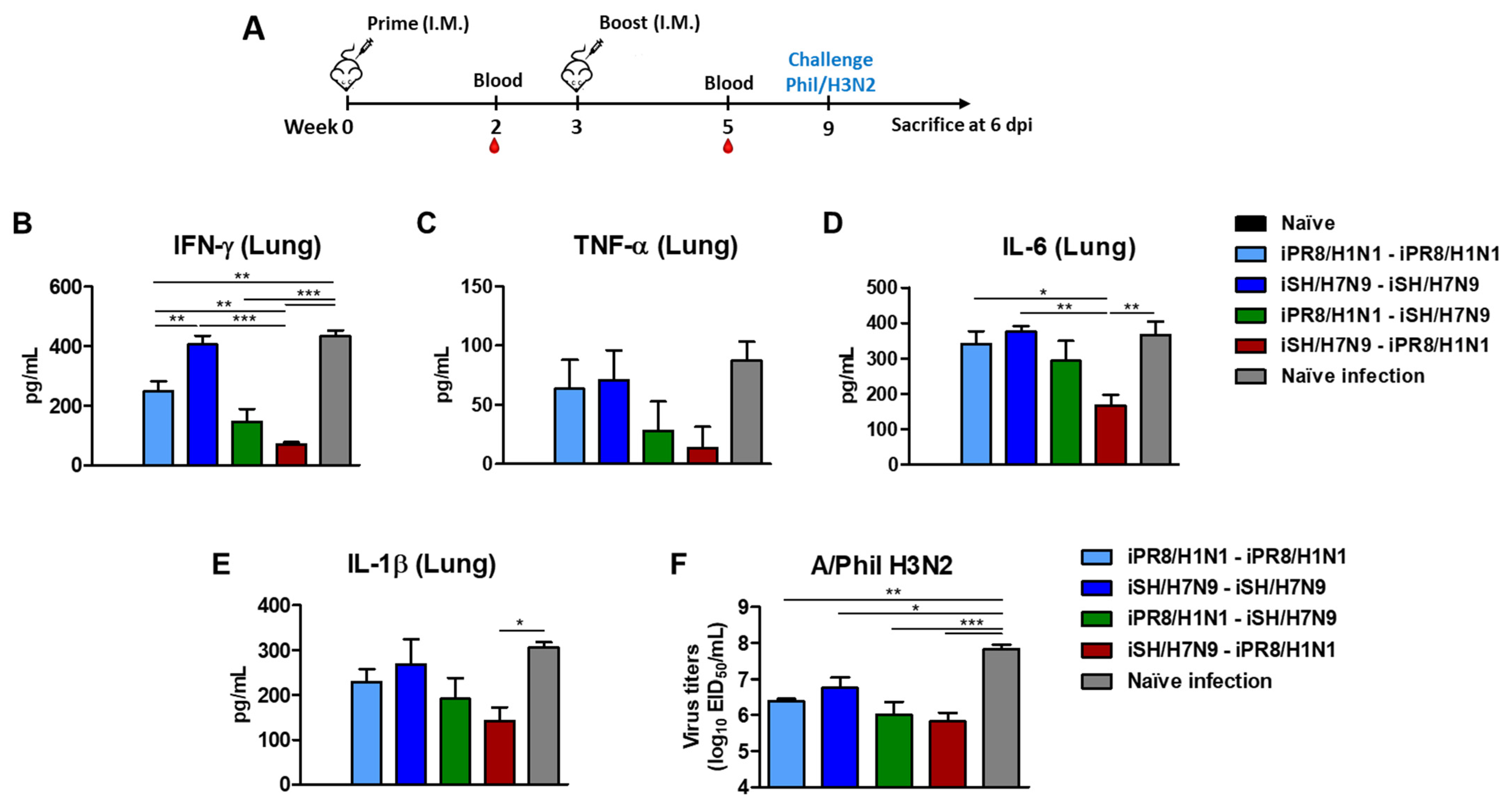 Vaccines 11 01209 g006