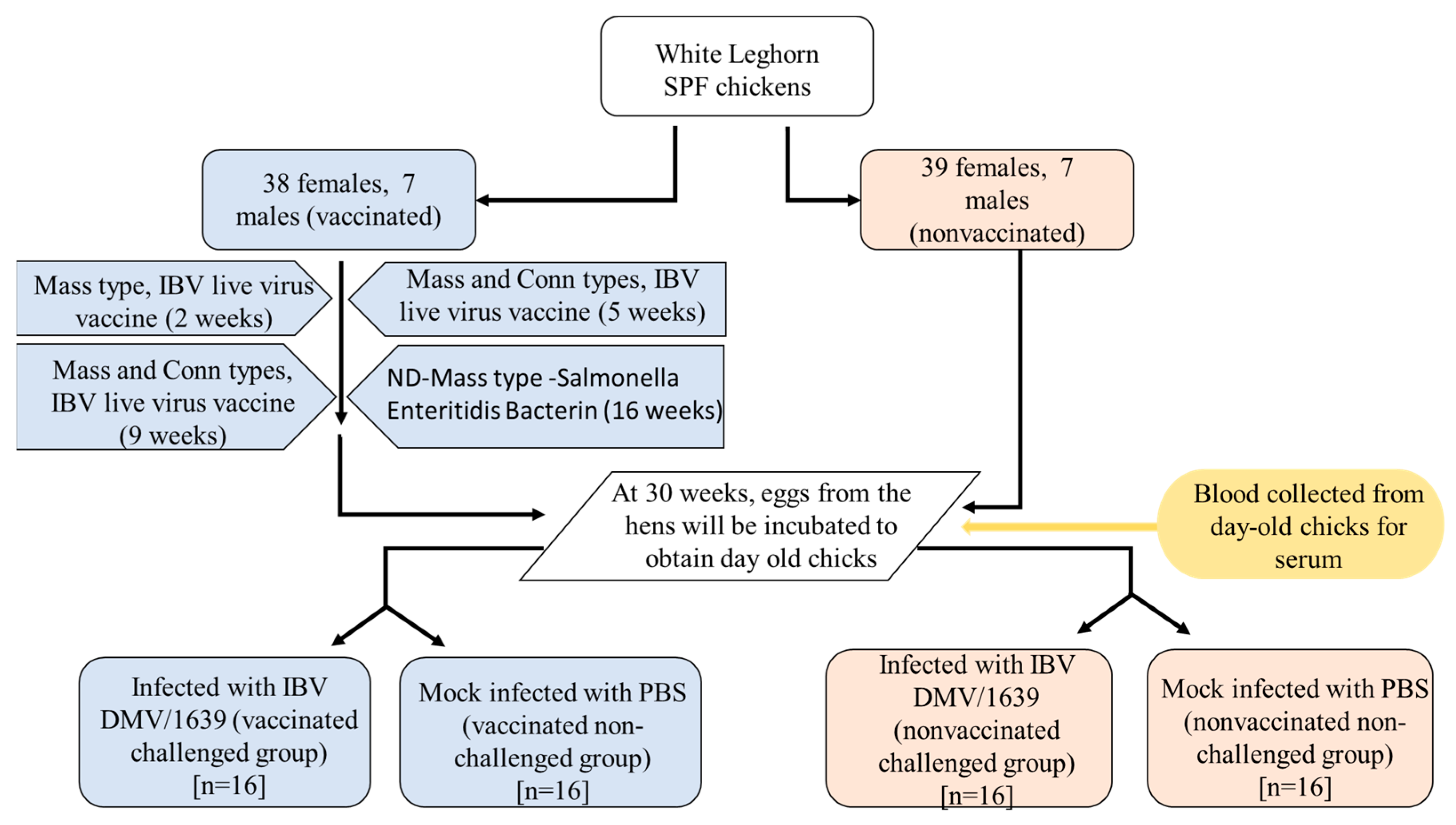 Vaccines 11 01216 g001