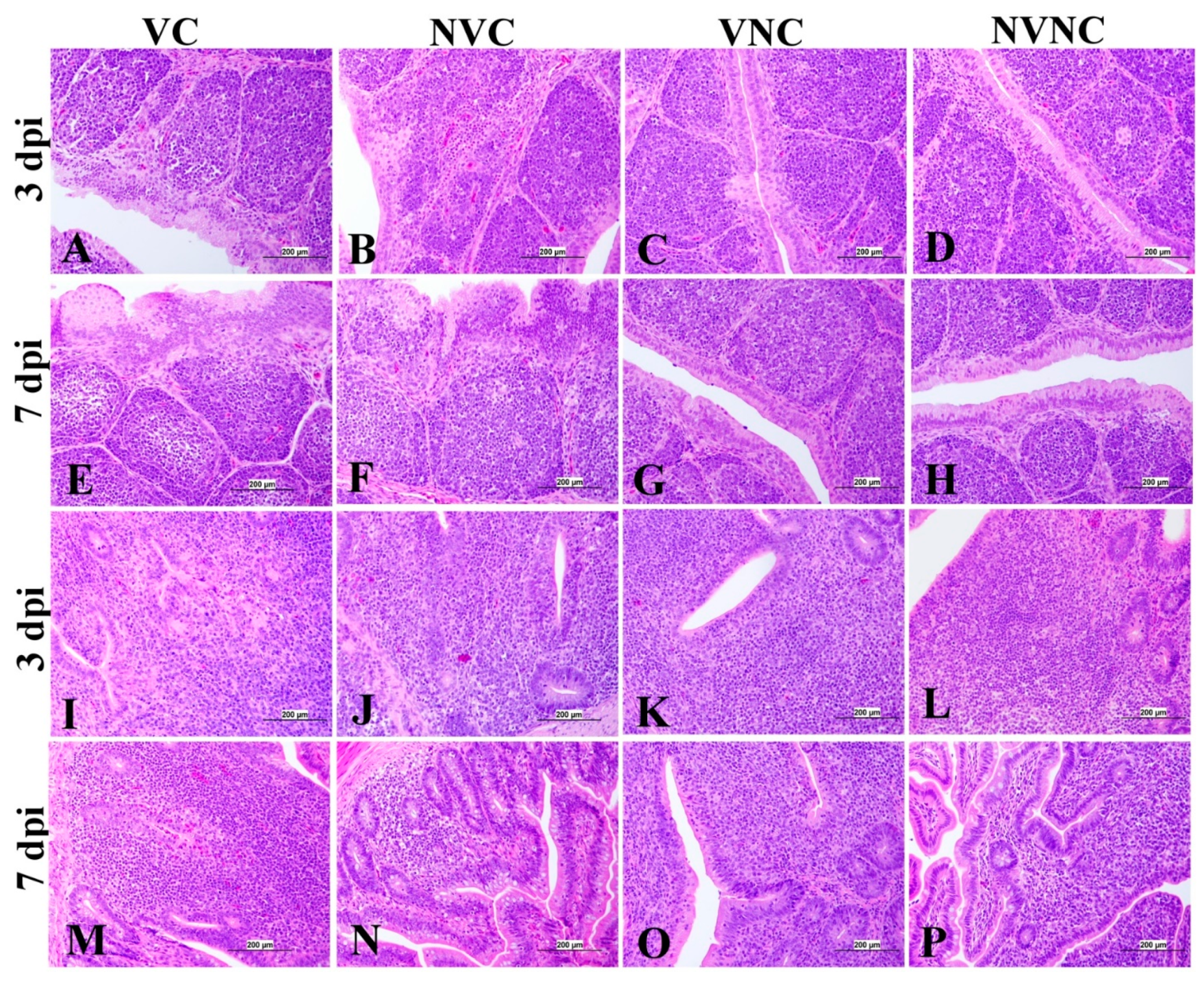 Vaccines 11 01216 g012