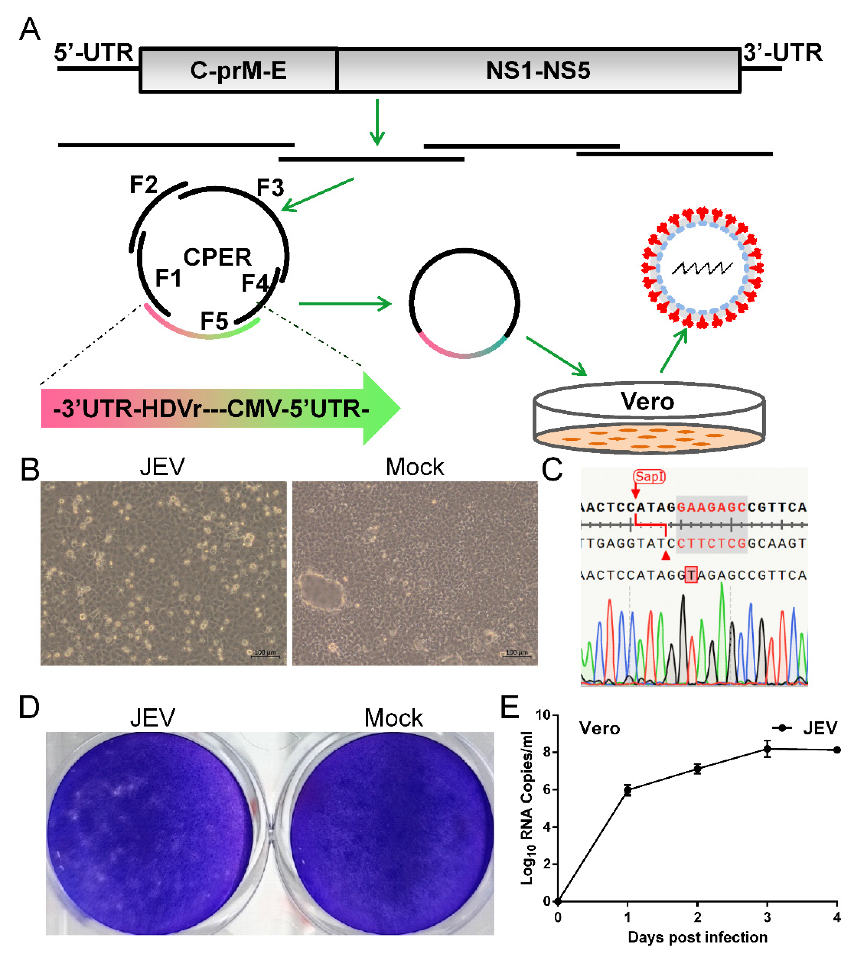Vaccines 11 01250 g001
