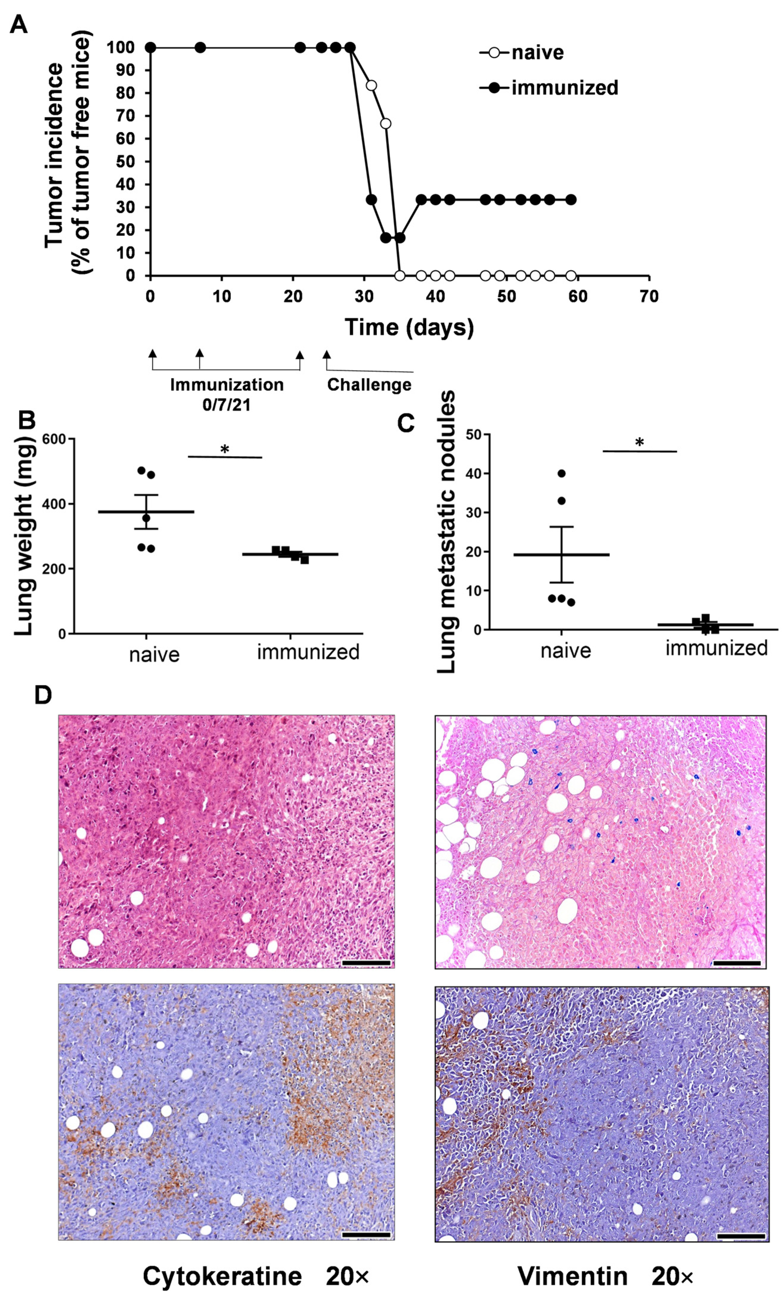 Vaccines 11 01254 g002