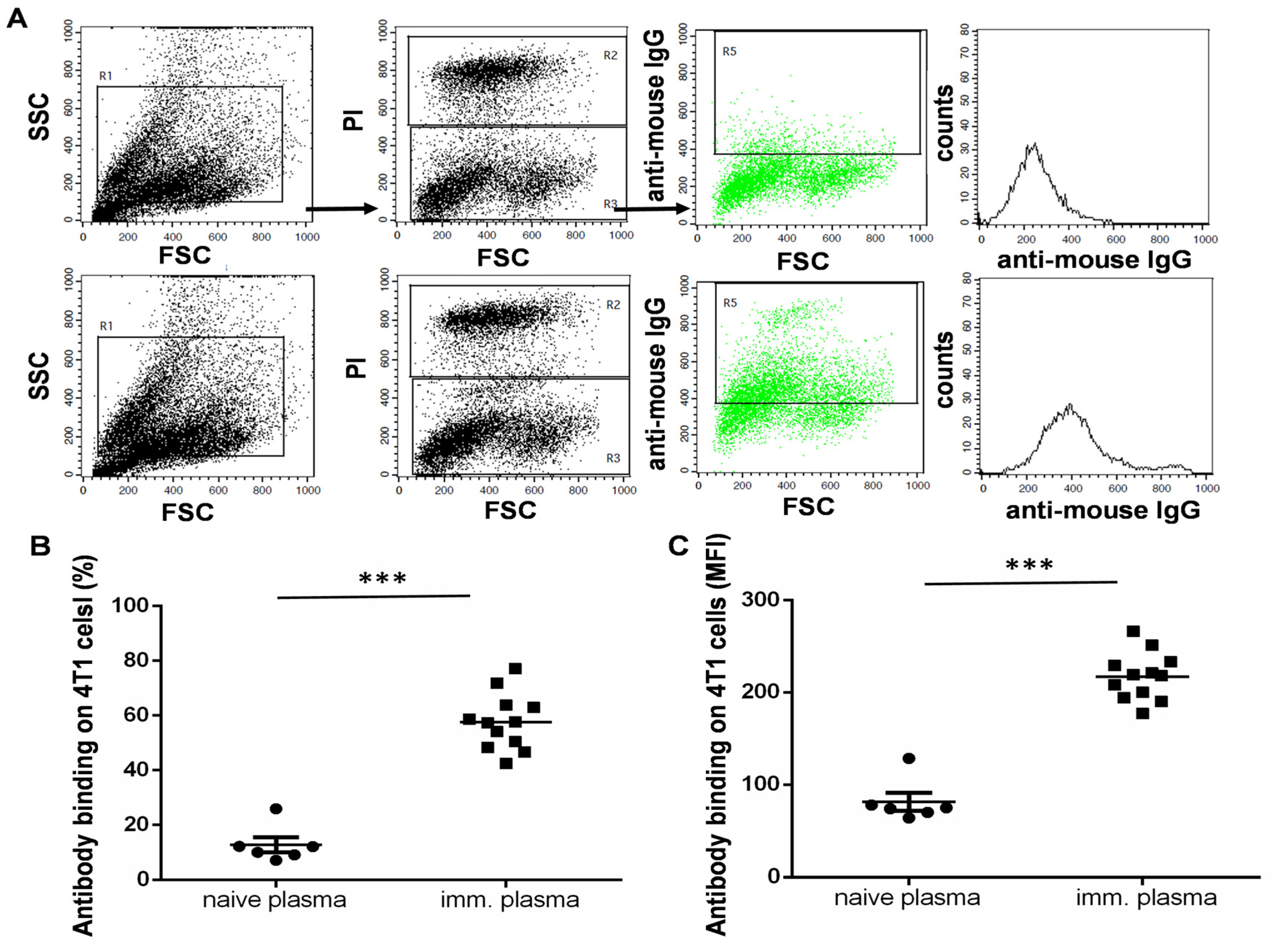 Vaccines 11 01254 g004