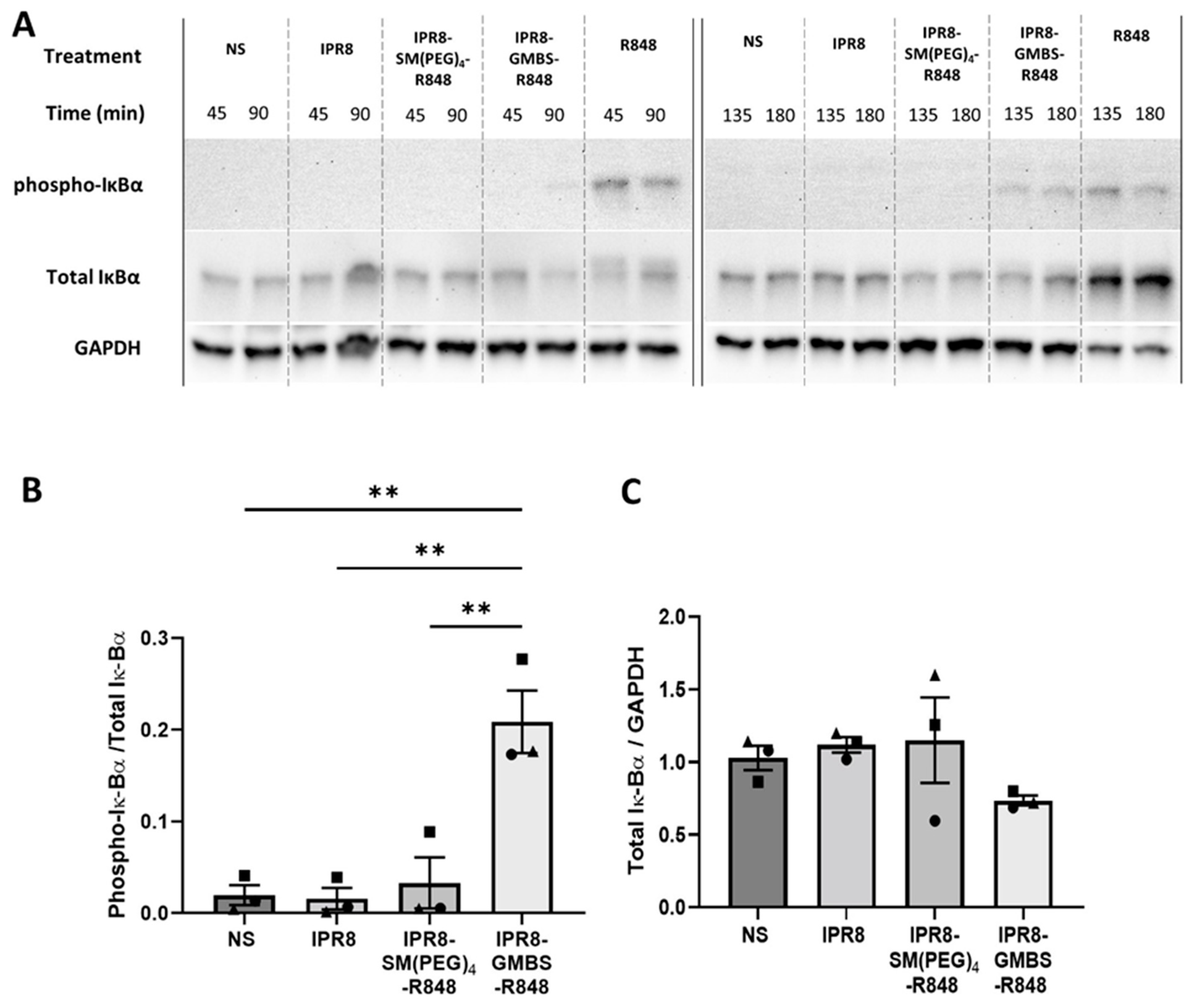 Vaccines 11 01261 g004