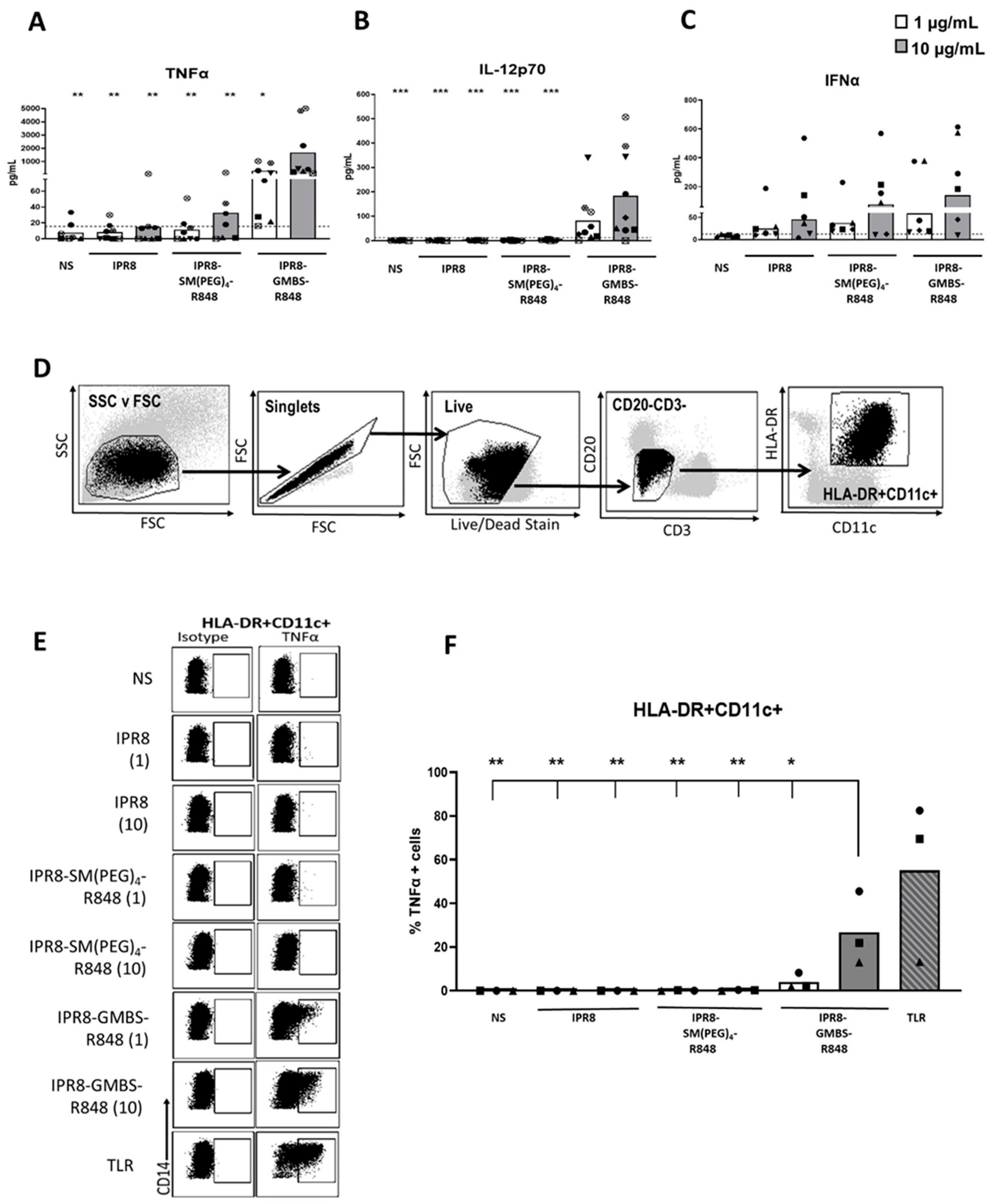 Vaccines 11 01261 g005