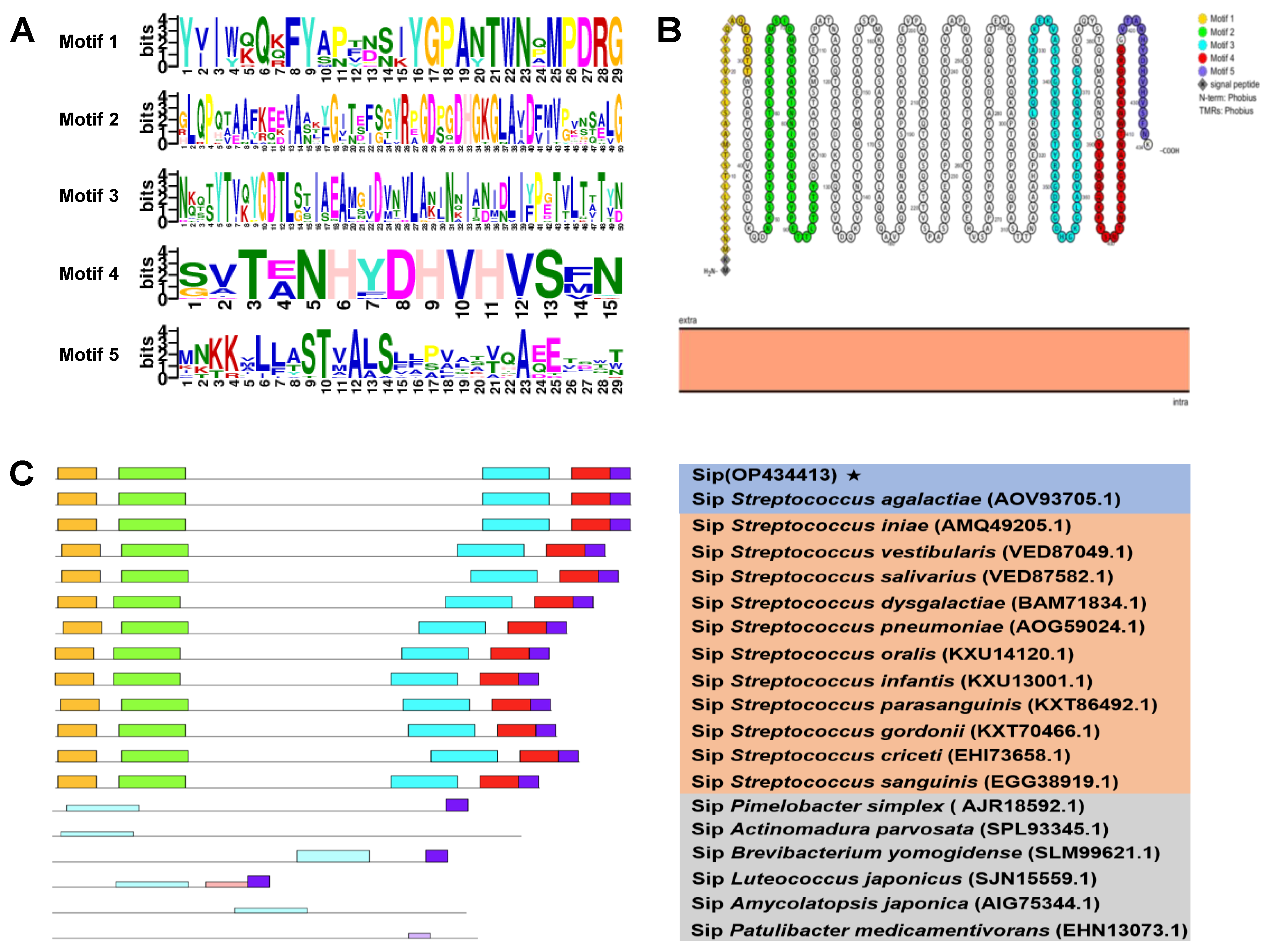 Vaccines 11 01262 g002