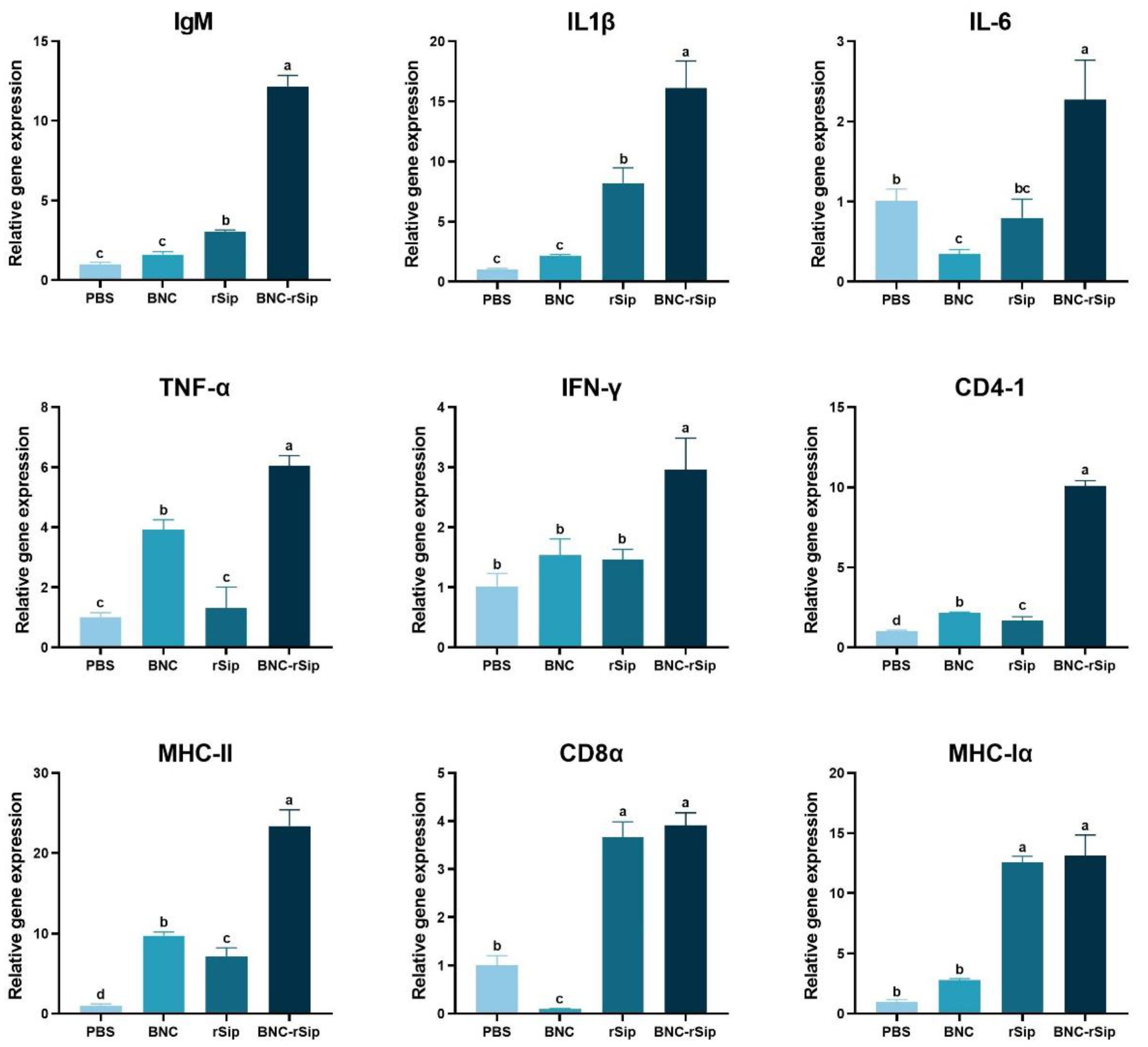 Vaccines 11 01262 g007