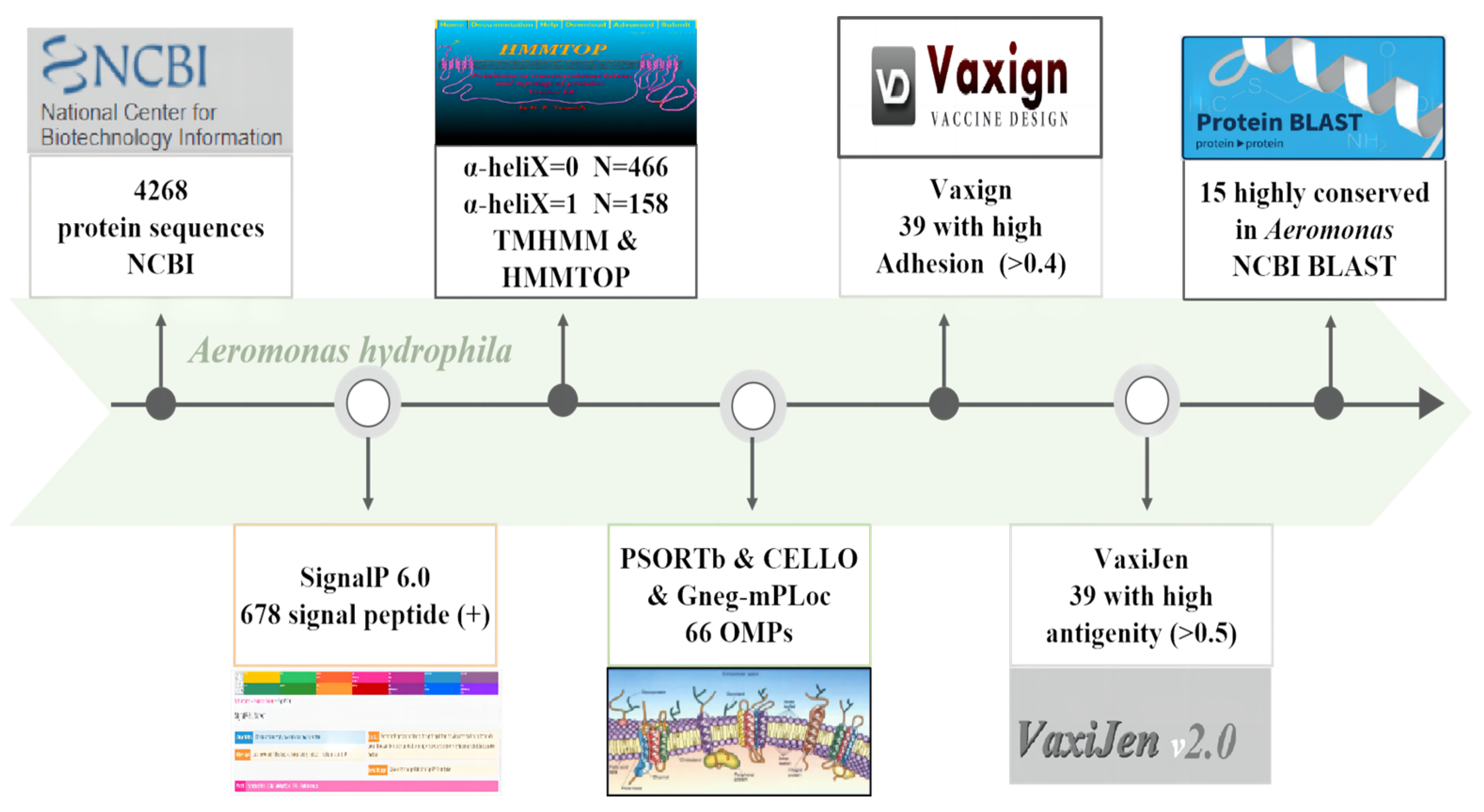 Vaccines 11 01266 g001