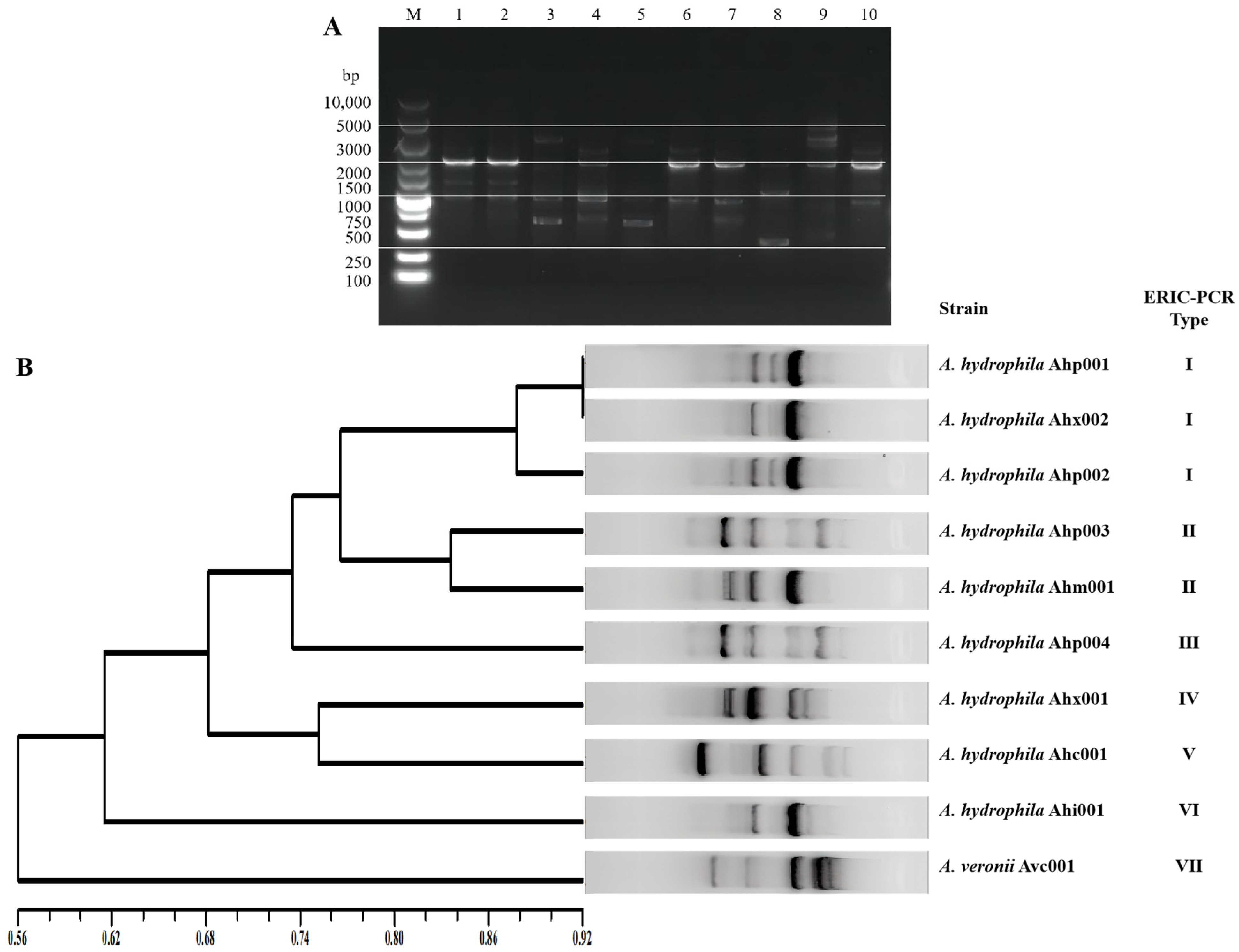 Vaccines 11 01266 g003