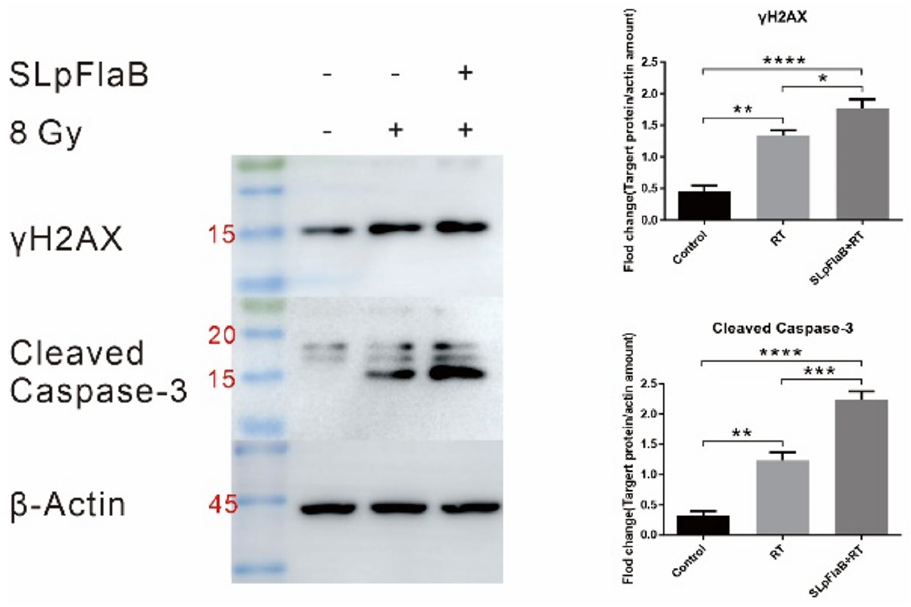 Vaccines 11 01275 g001