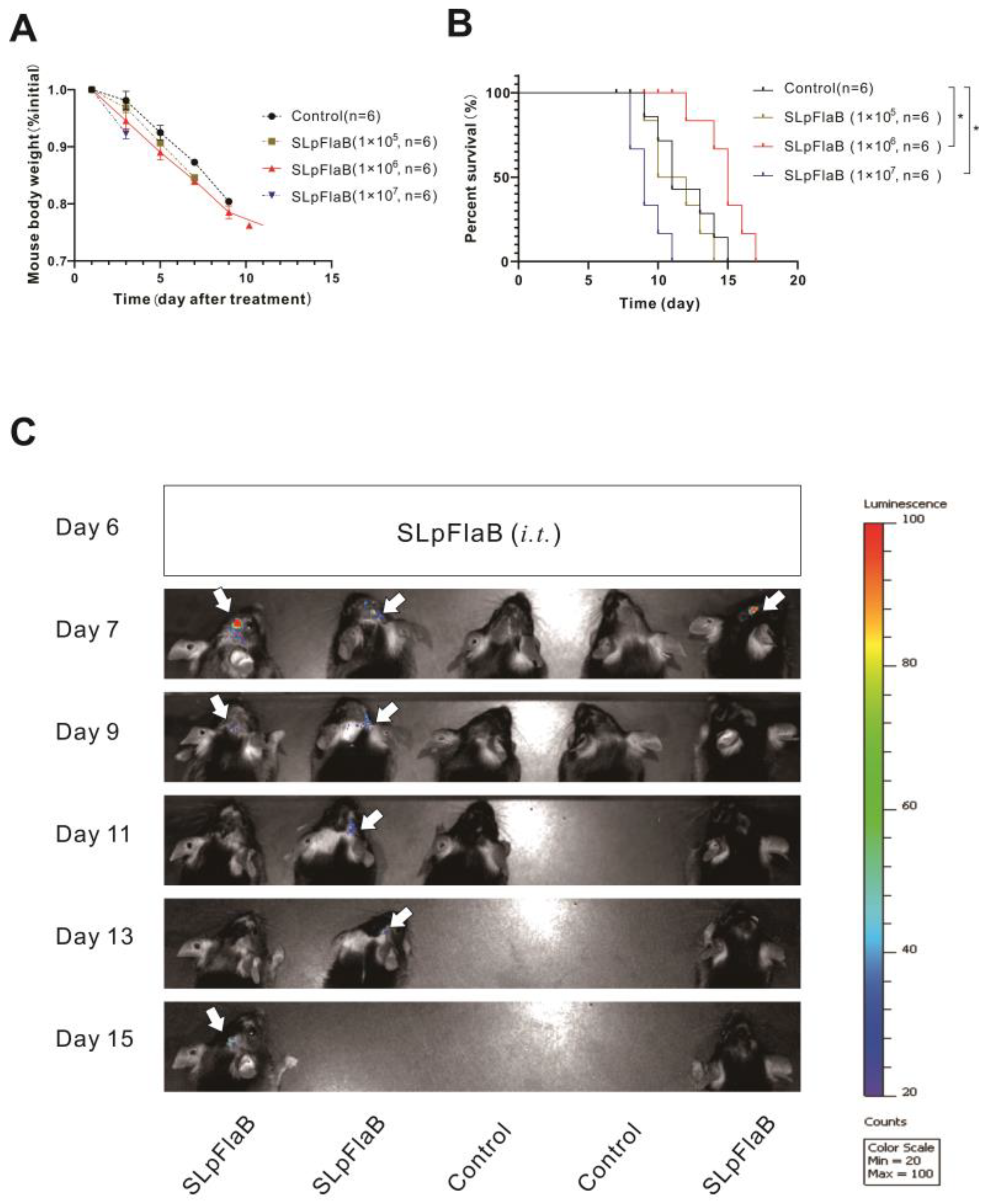 Vaccines 11 01275 g002