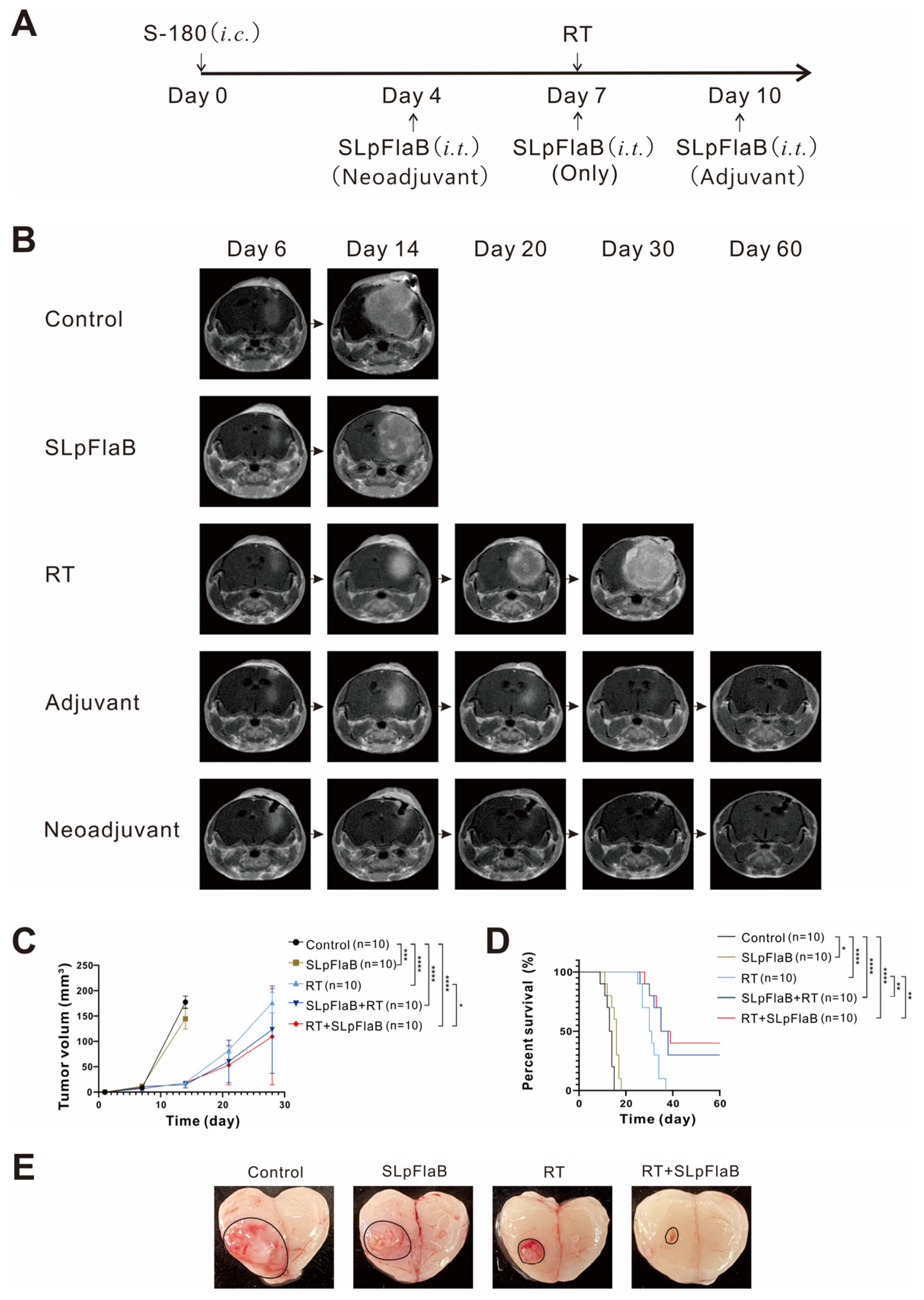 Vaccines 11 01275 g003