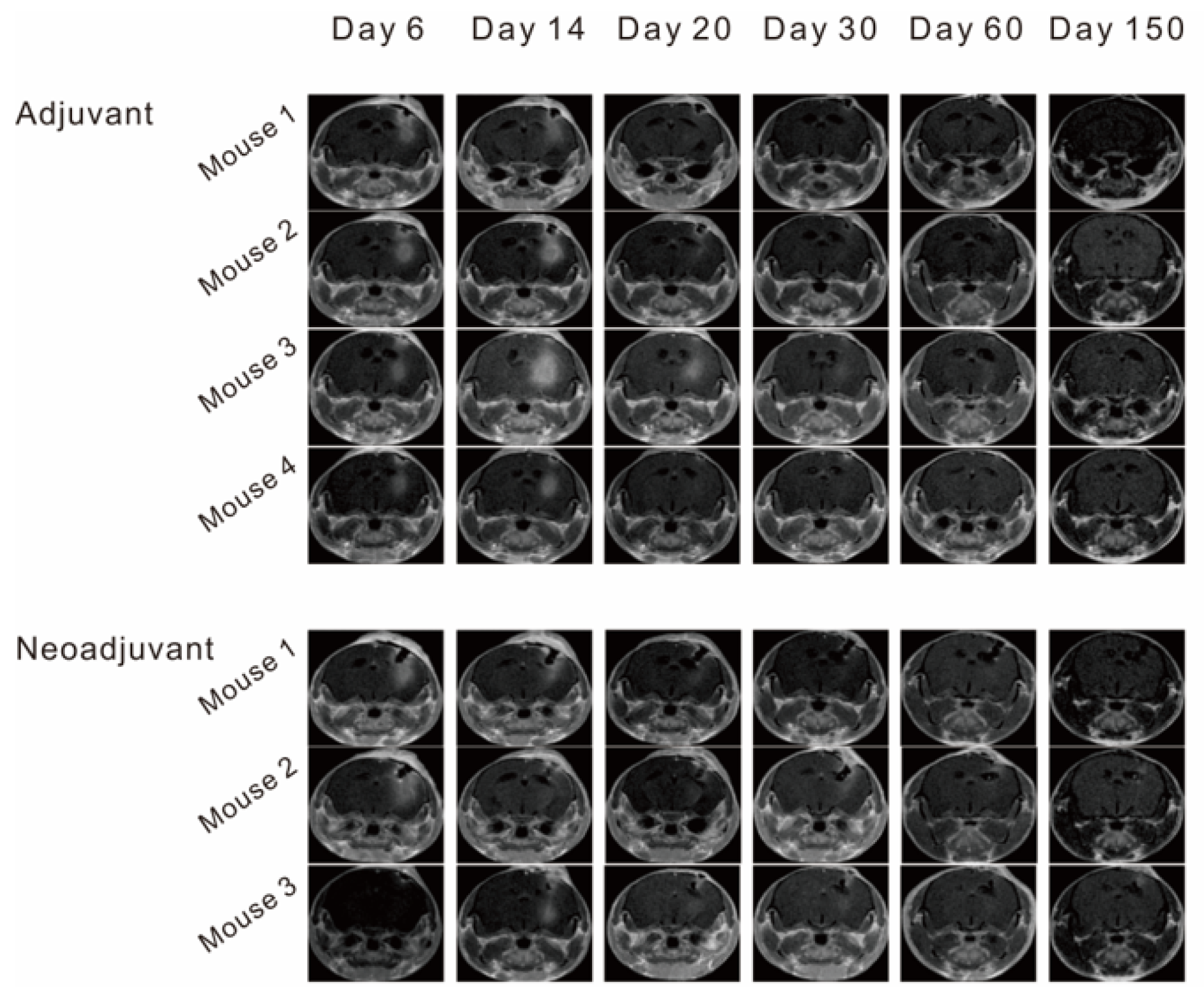 Vaccines 11 01275 g005