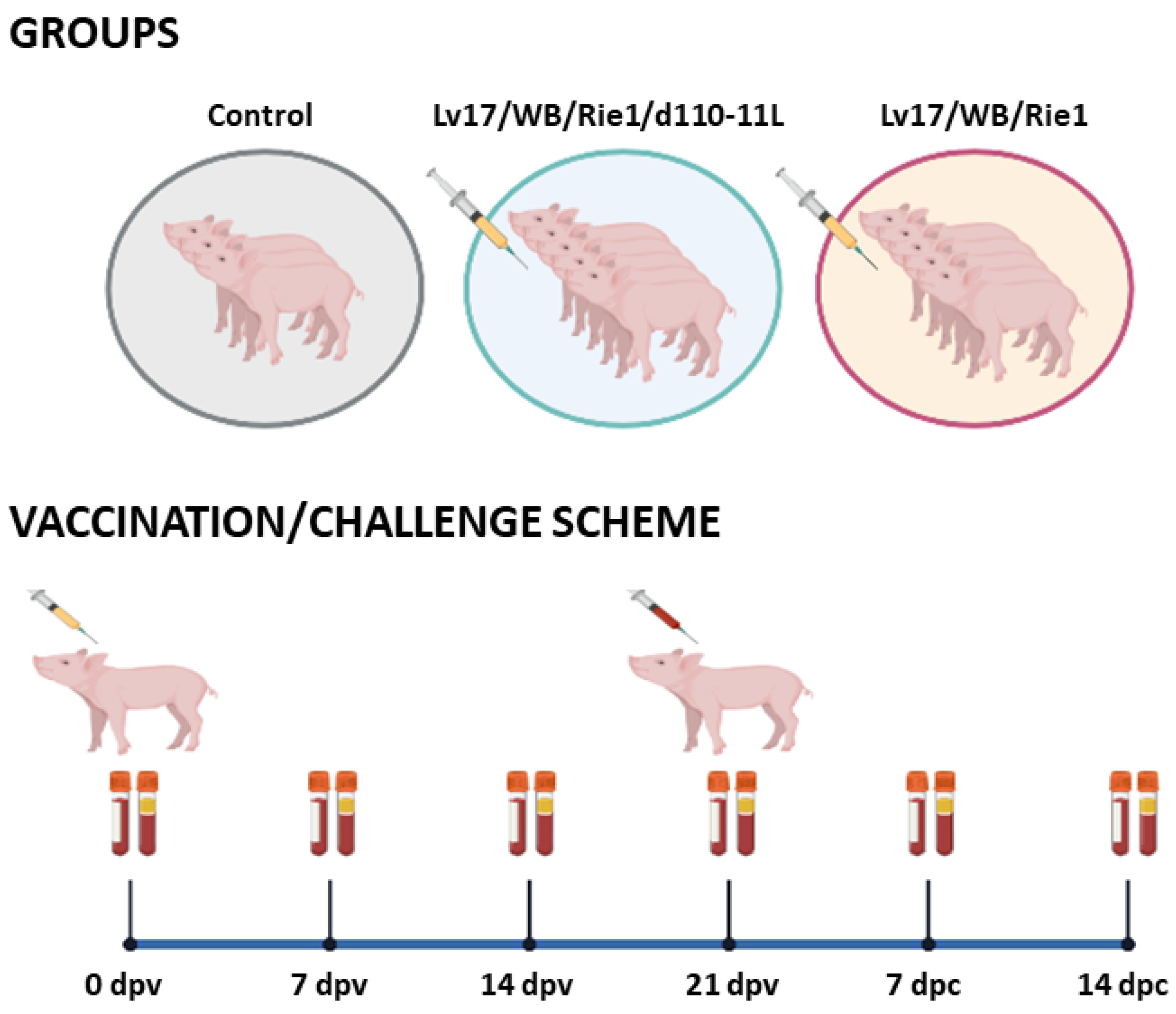 Vaccines 11 01277 g001