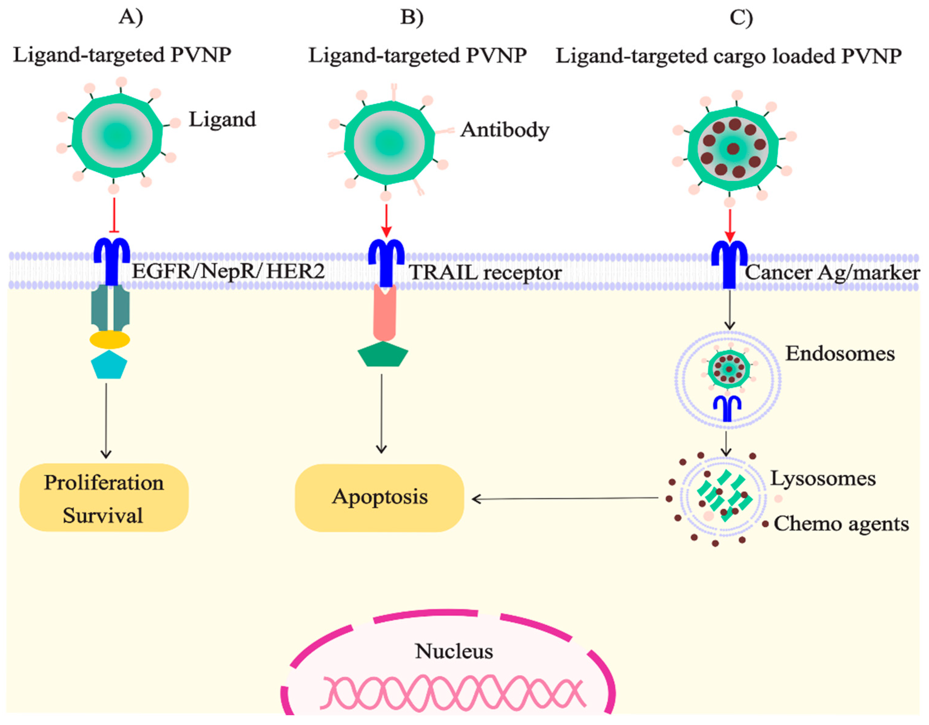 Vaccines 11 01278 g002
